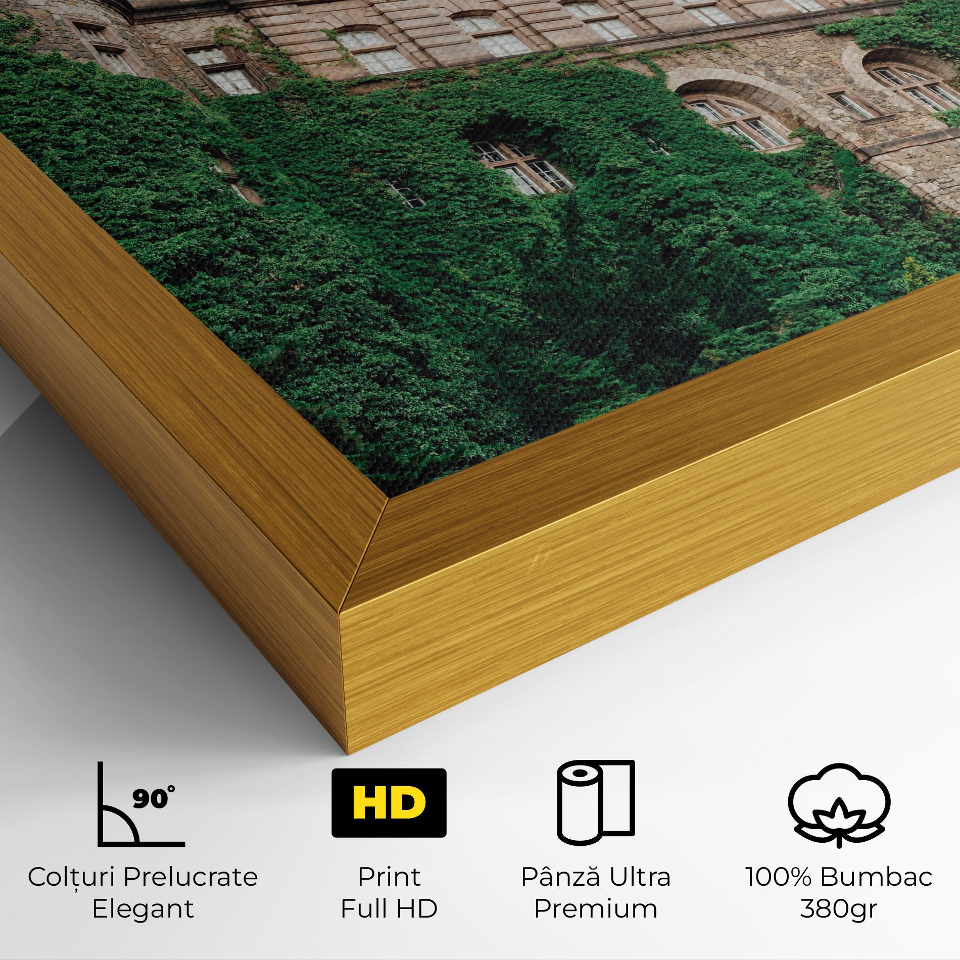 Ksiaz Swiebodzice Poland mockup 4