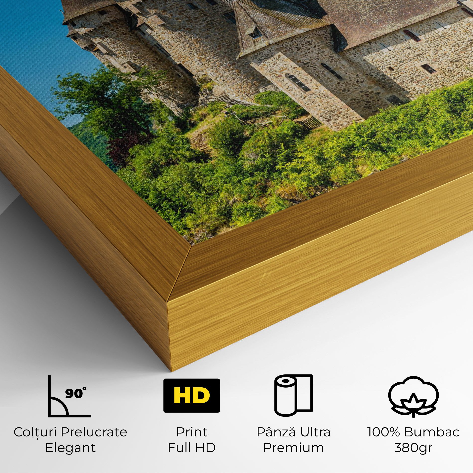 Medieval Castle France mockup 4