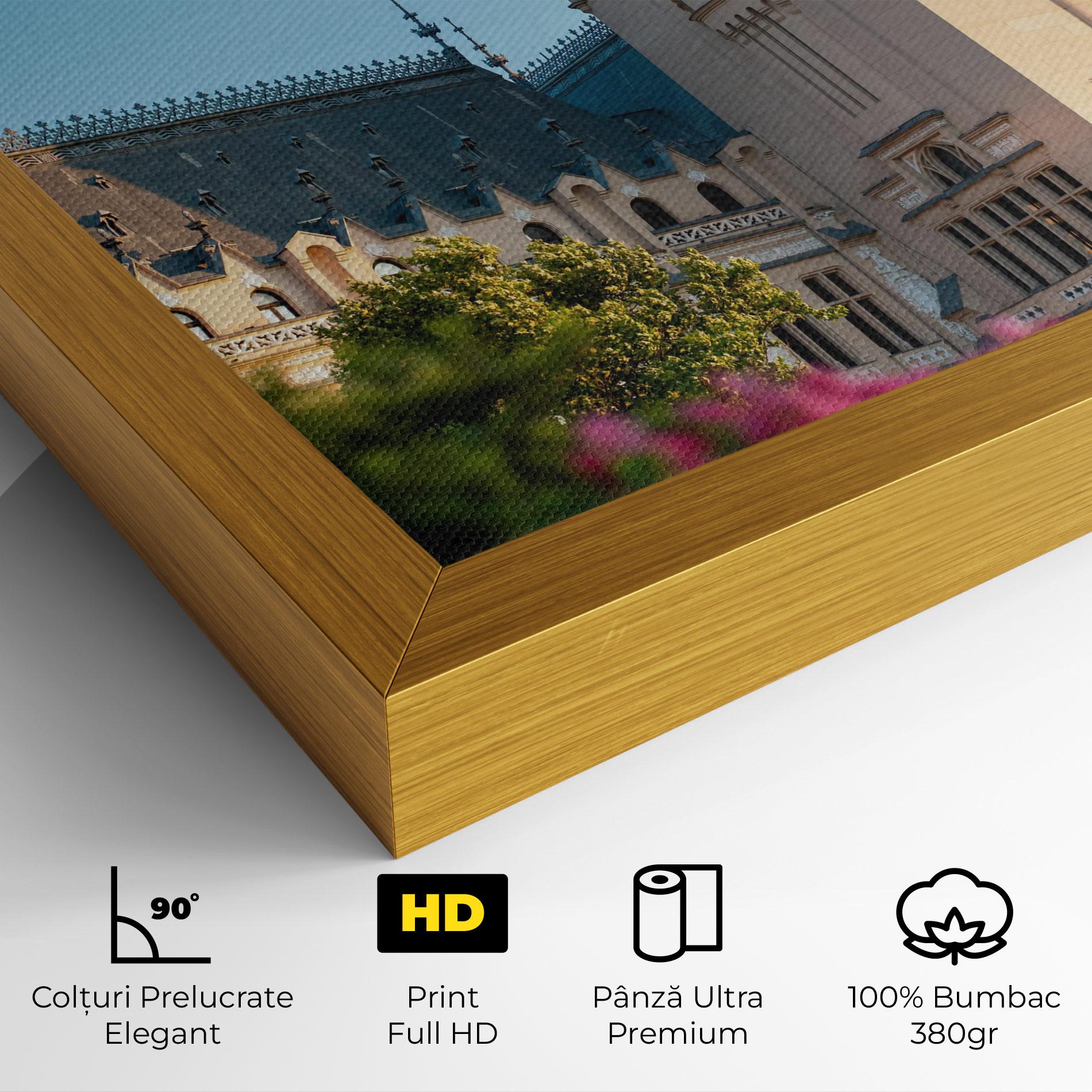 Tablou Canvas Palace Culture Iasi mockup 4