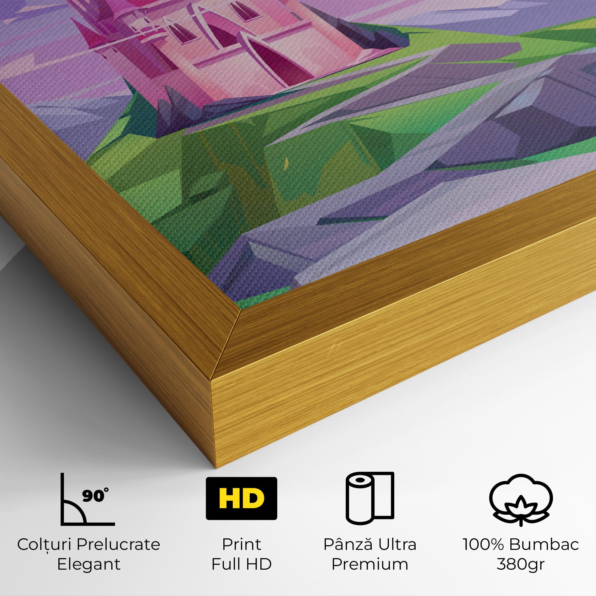 Pink Castle mockup 4