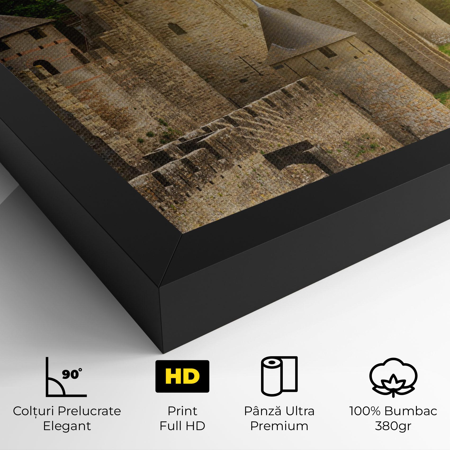 Tablou Canvas Carcassonne France mockup 4