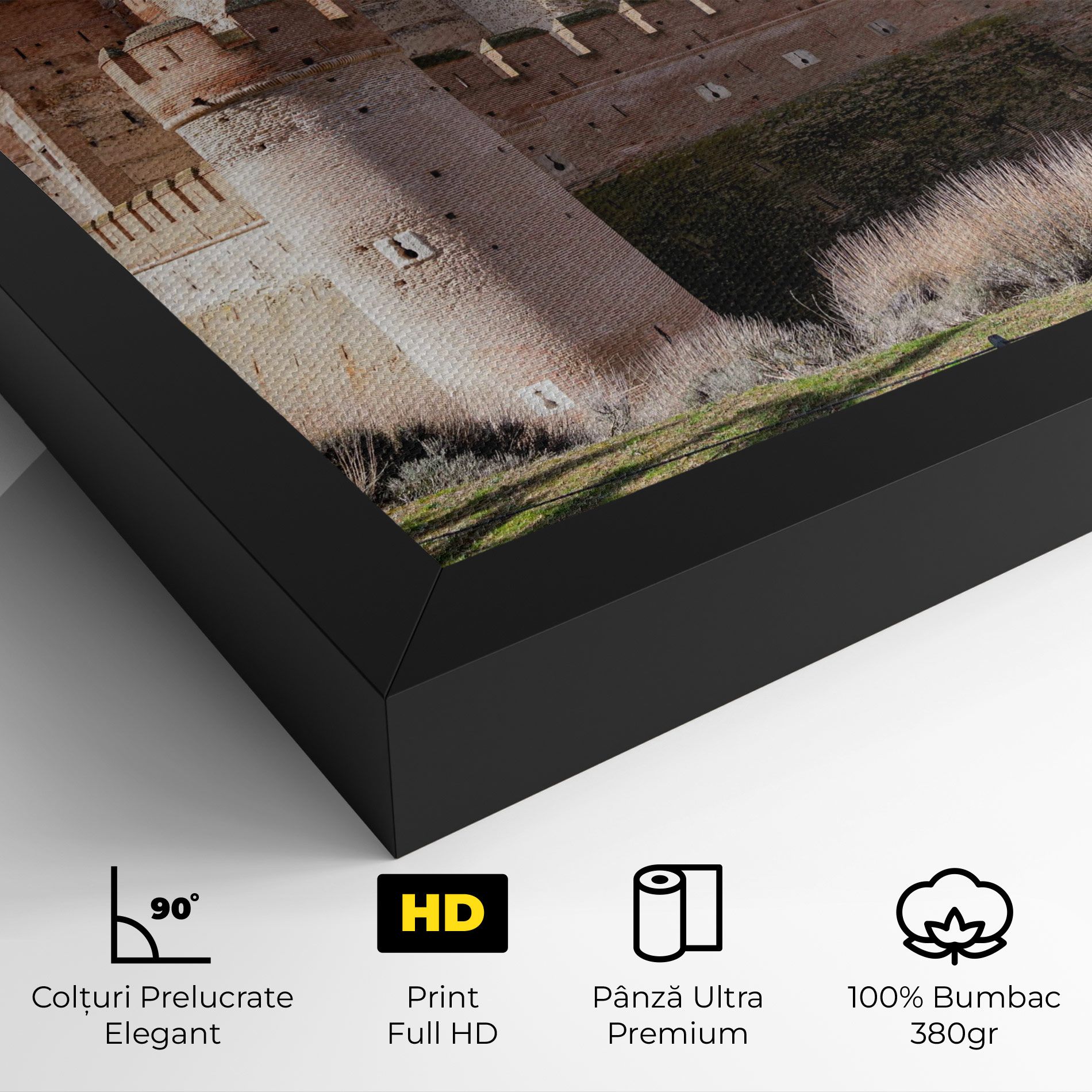 Castle La Mota mockup 4