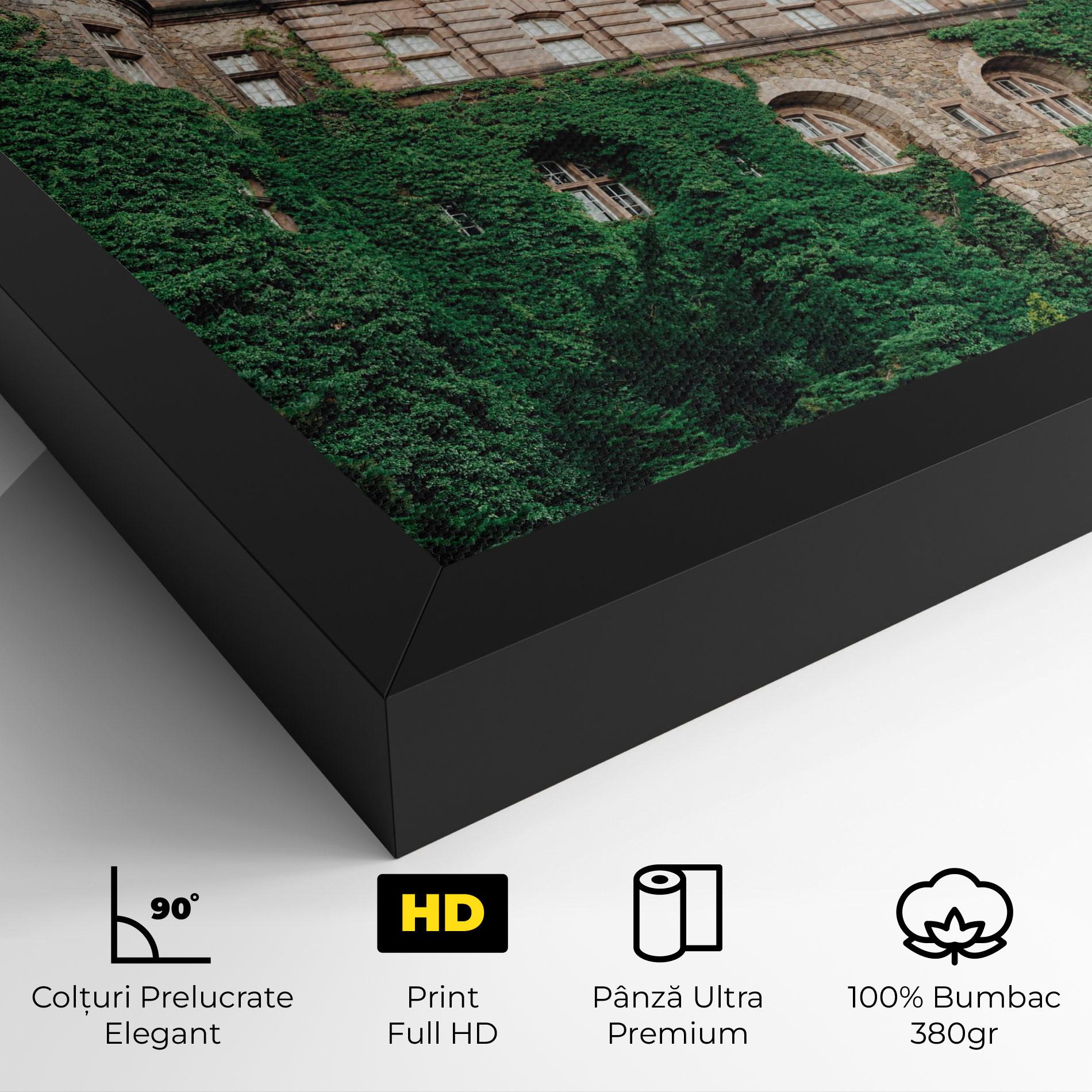 Tablou Canvas Ksiaz Swiebodzice Poland mockup 4