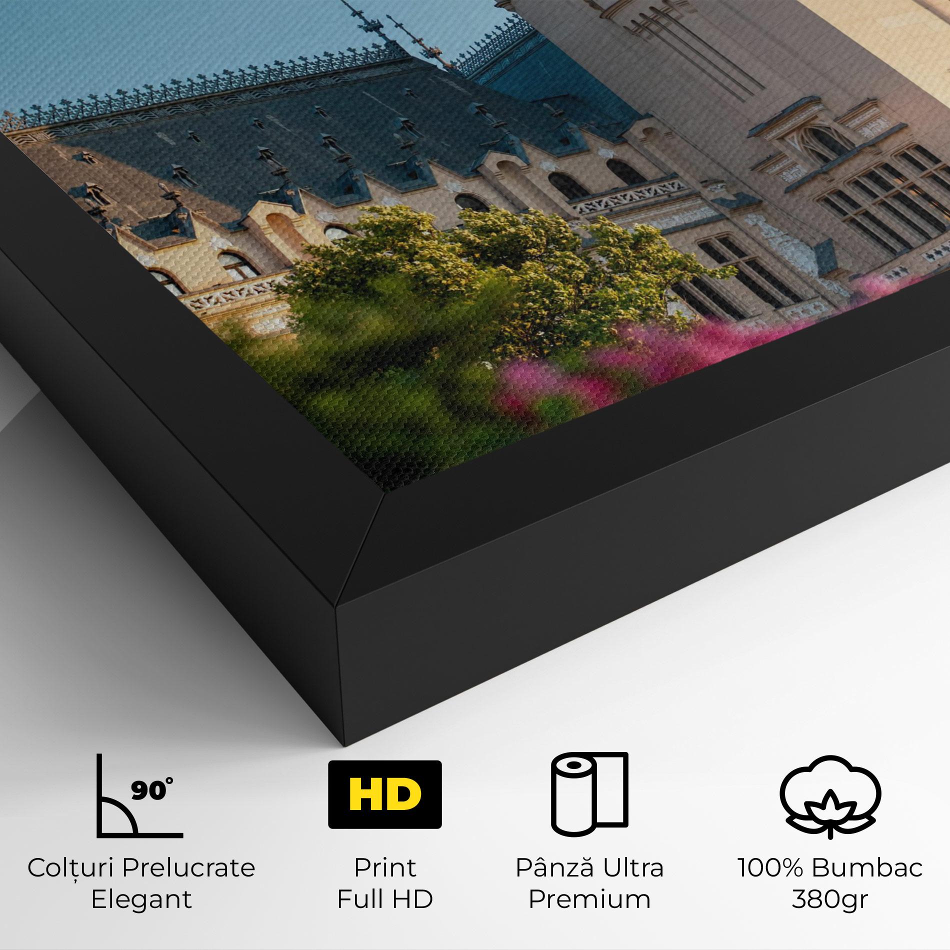 Tablou Canvas Palace Culture Iasi mockup 4