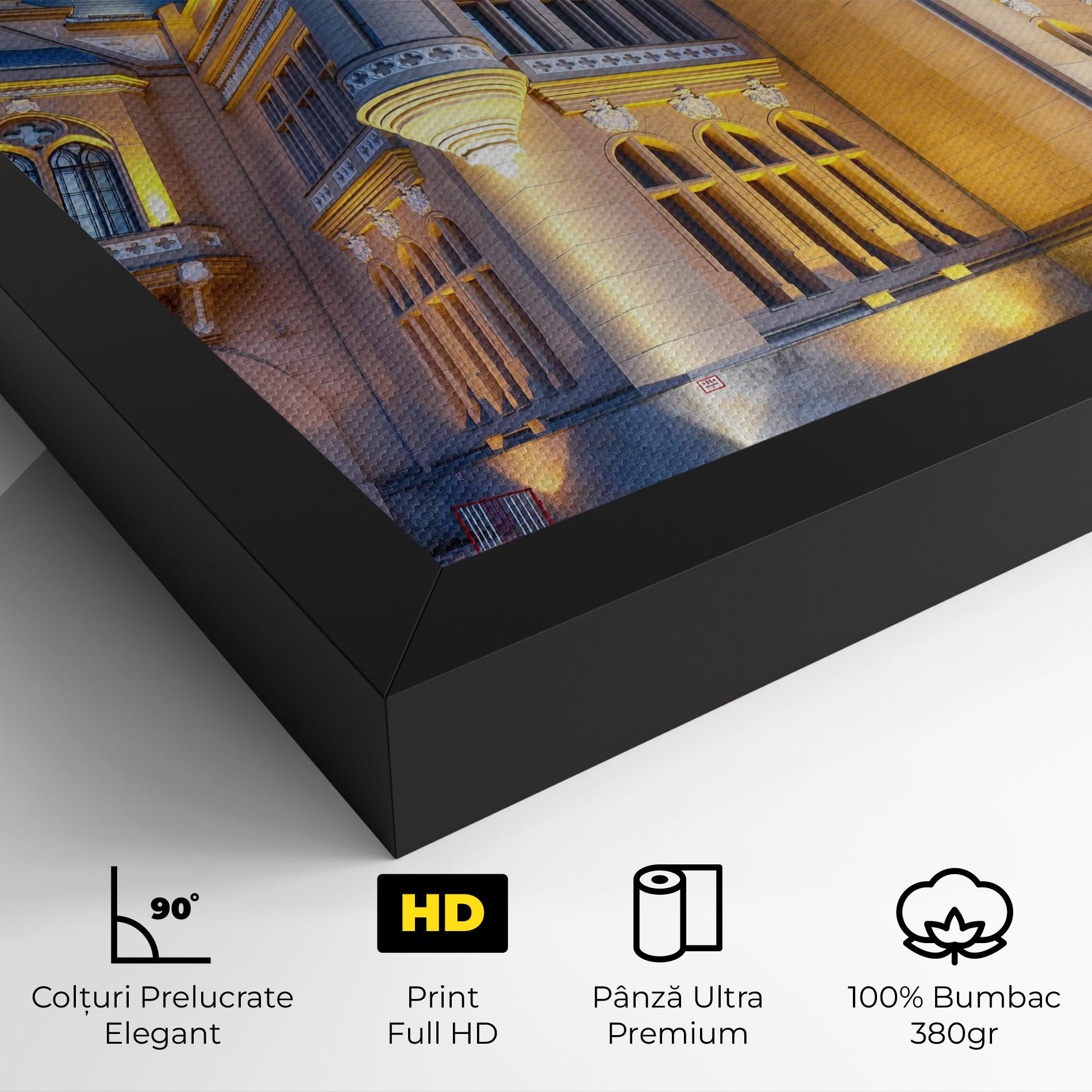 Tablou Canvas Palace Culture Romania mockup 4