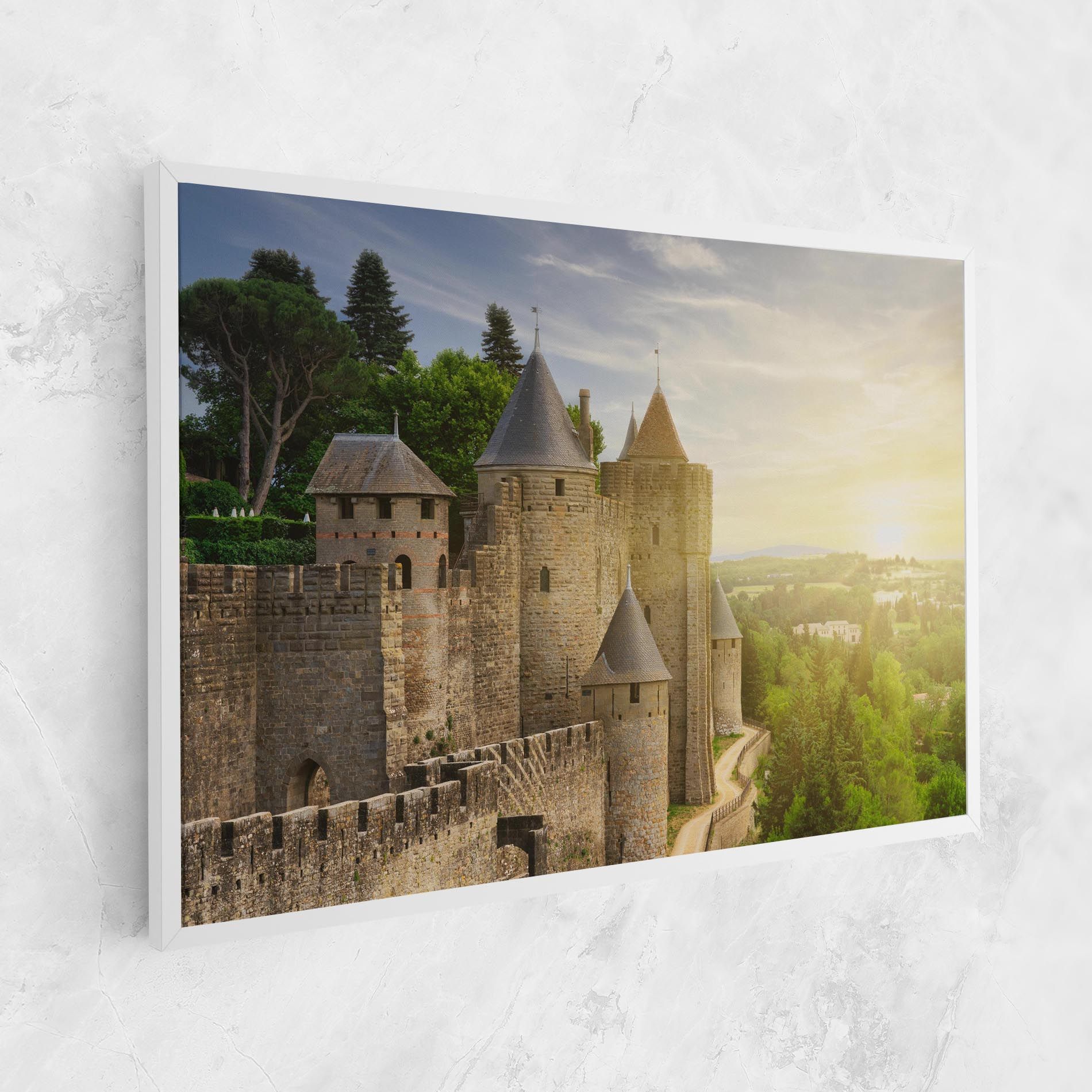 Carcassonne France mockup 1