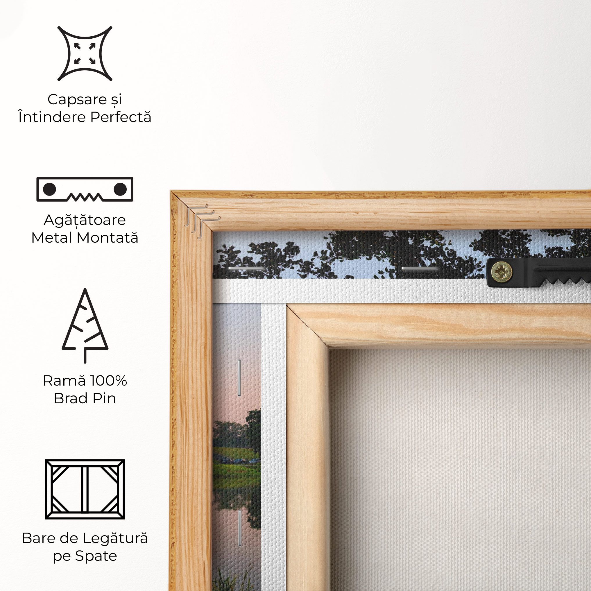 Ancient Castle Morning mockup 5