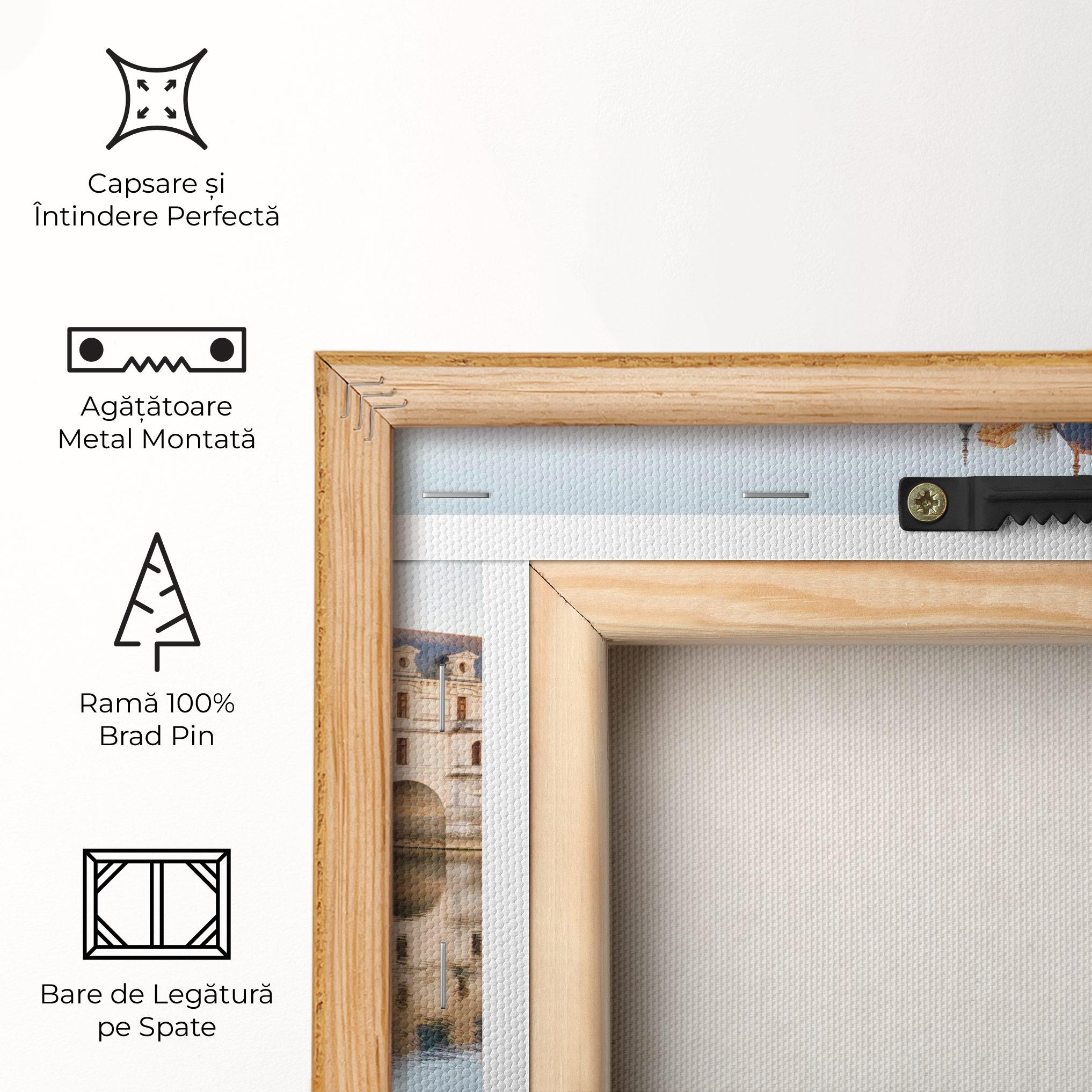 Tablou Canvas Chateau Chenonceau Castle mockup 5