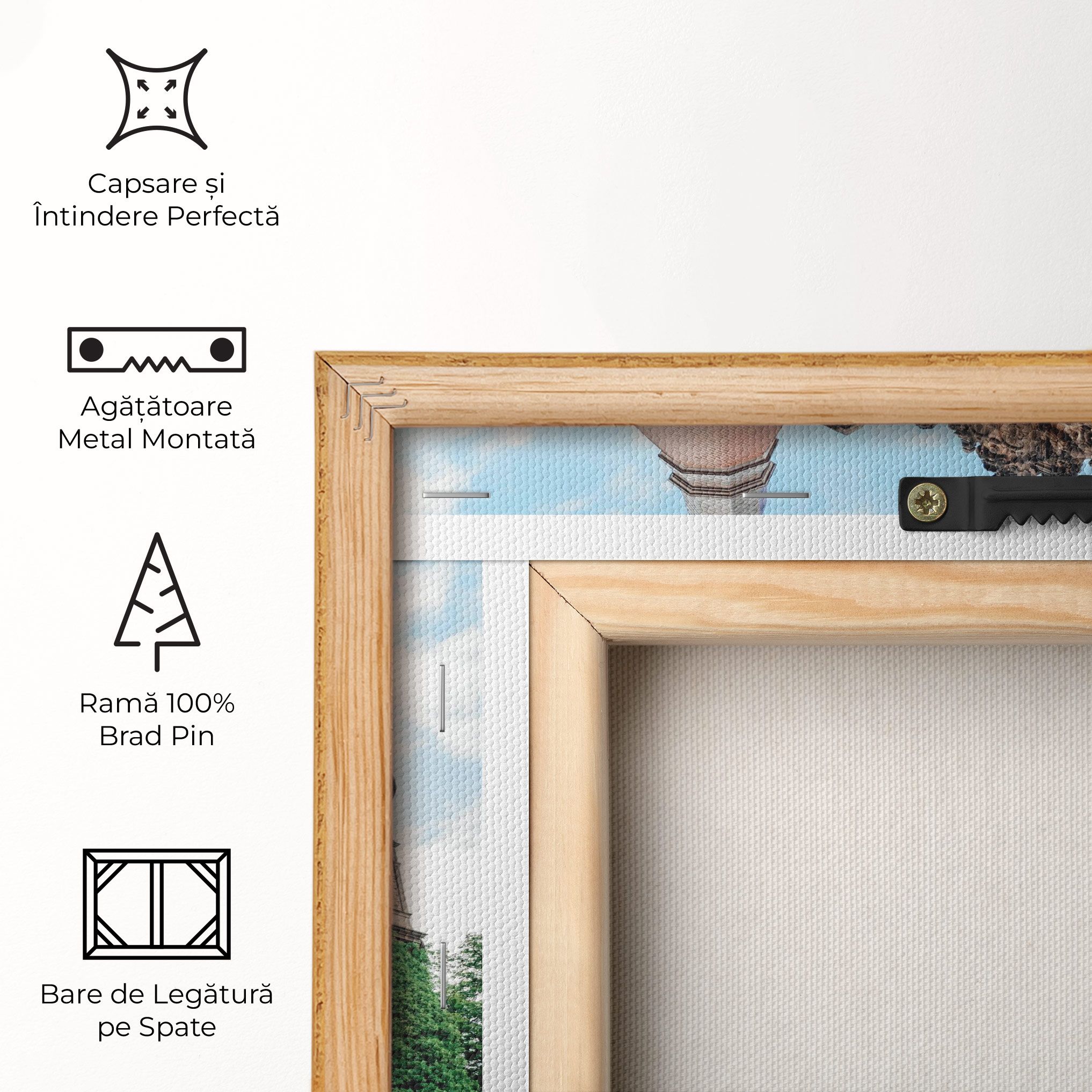 Ksiaz Swiebodzice Poland mockup 5