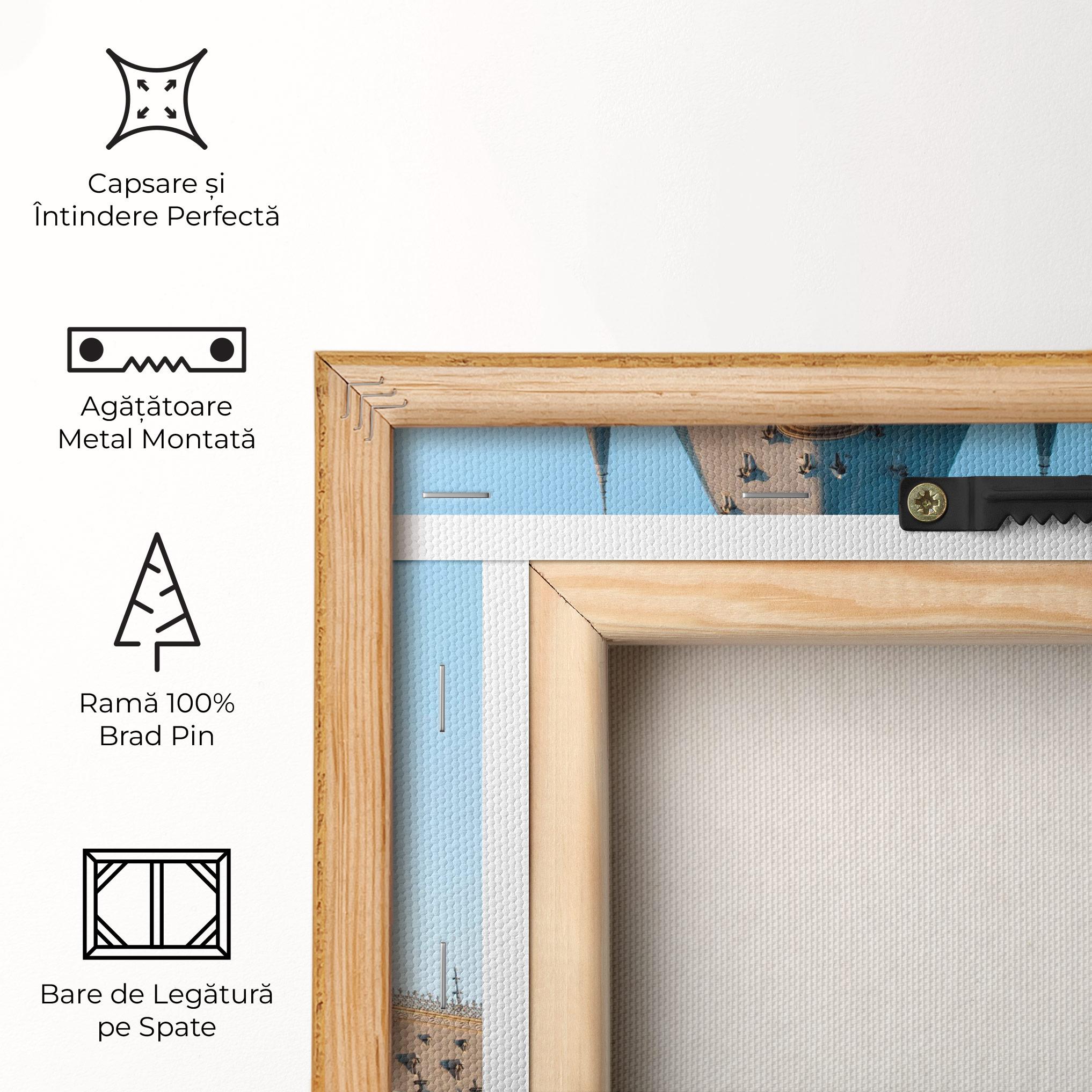 Tablou Canvas Palace Culture Iasi mockup 5