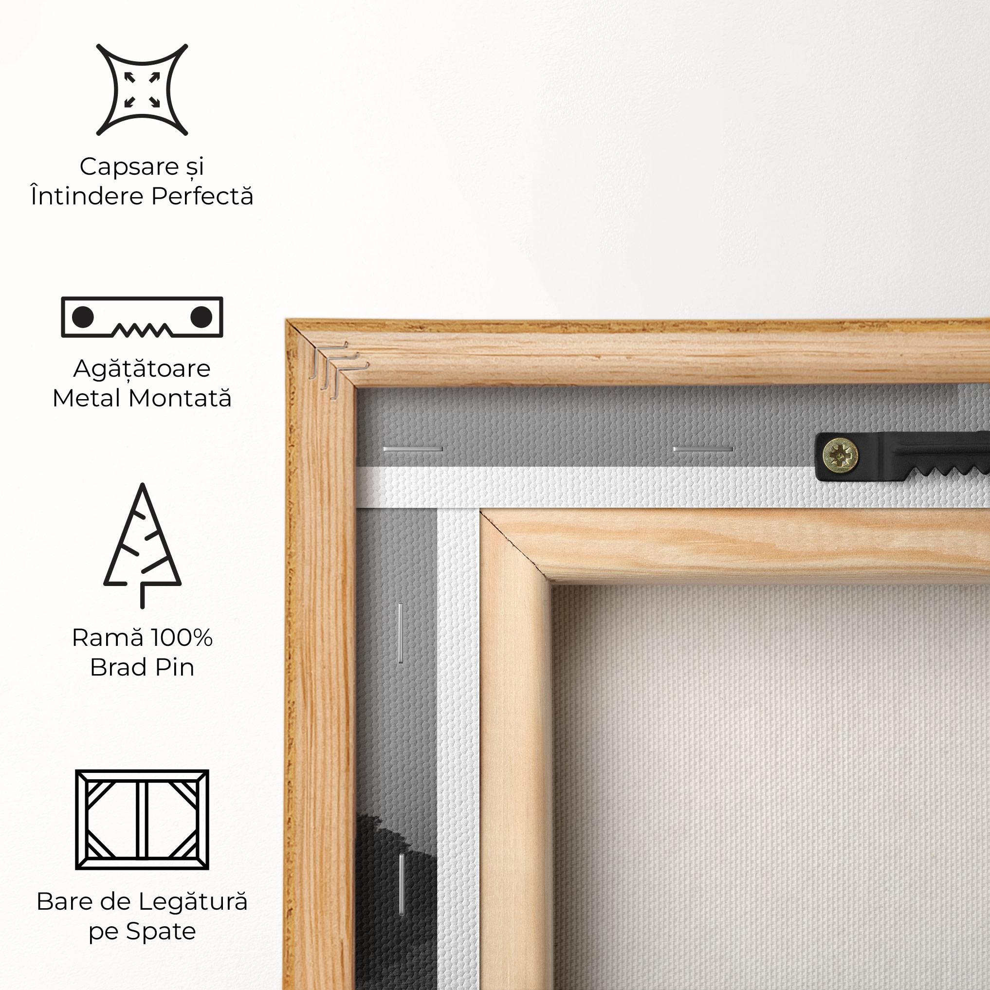 Tablou Canvas Taj Mahal Reflected mockup 5