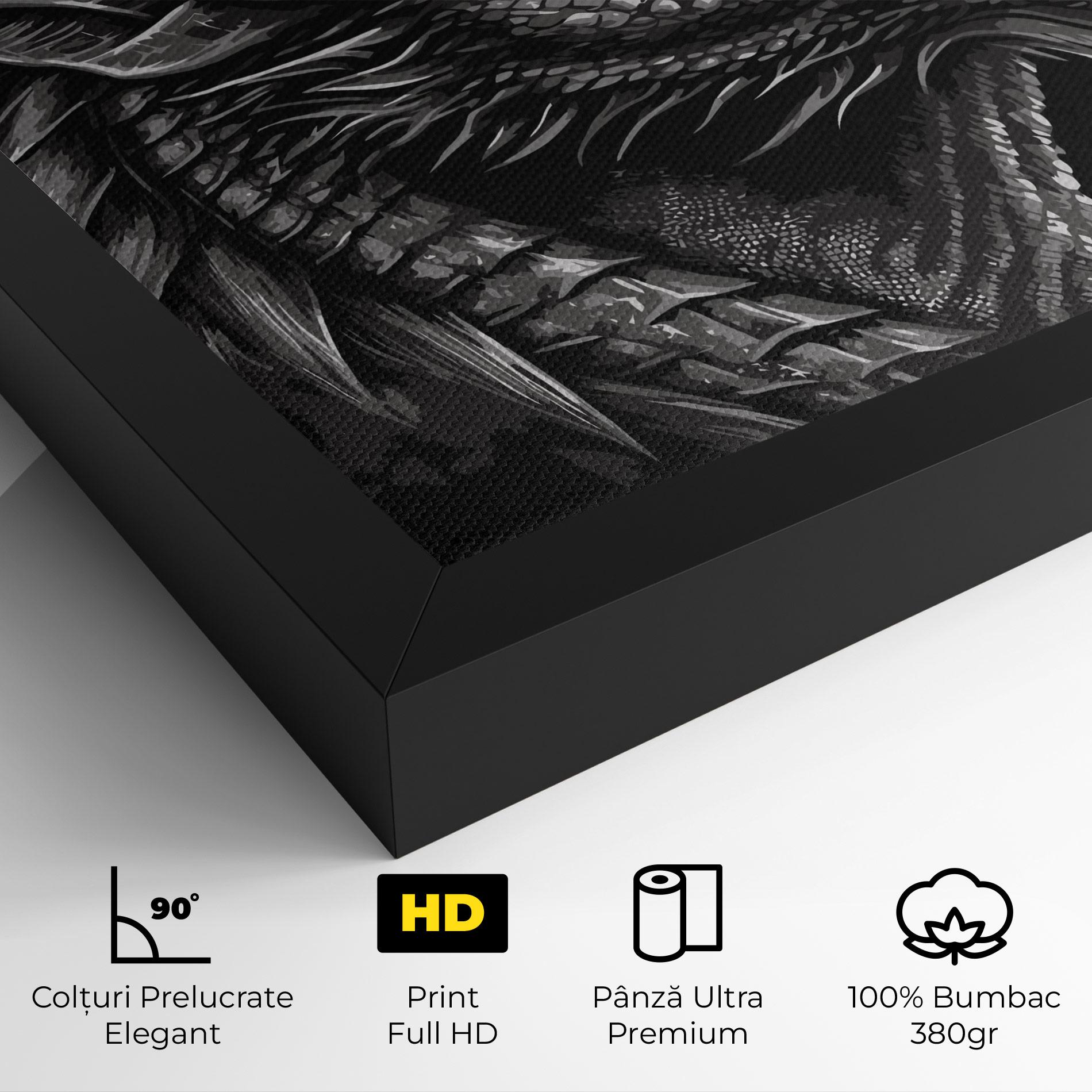Tablou Canvas Grey Dragon mockup 4
