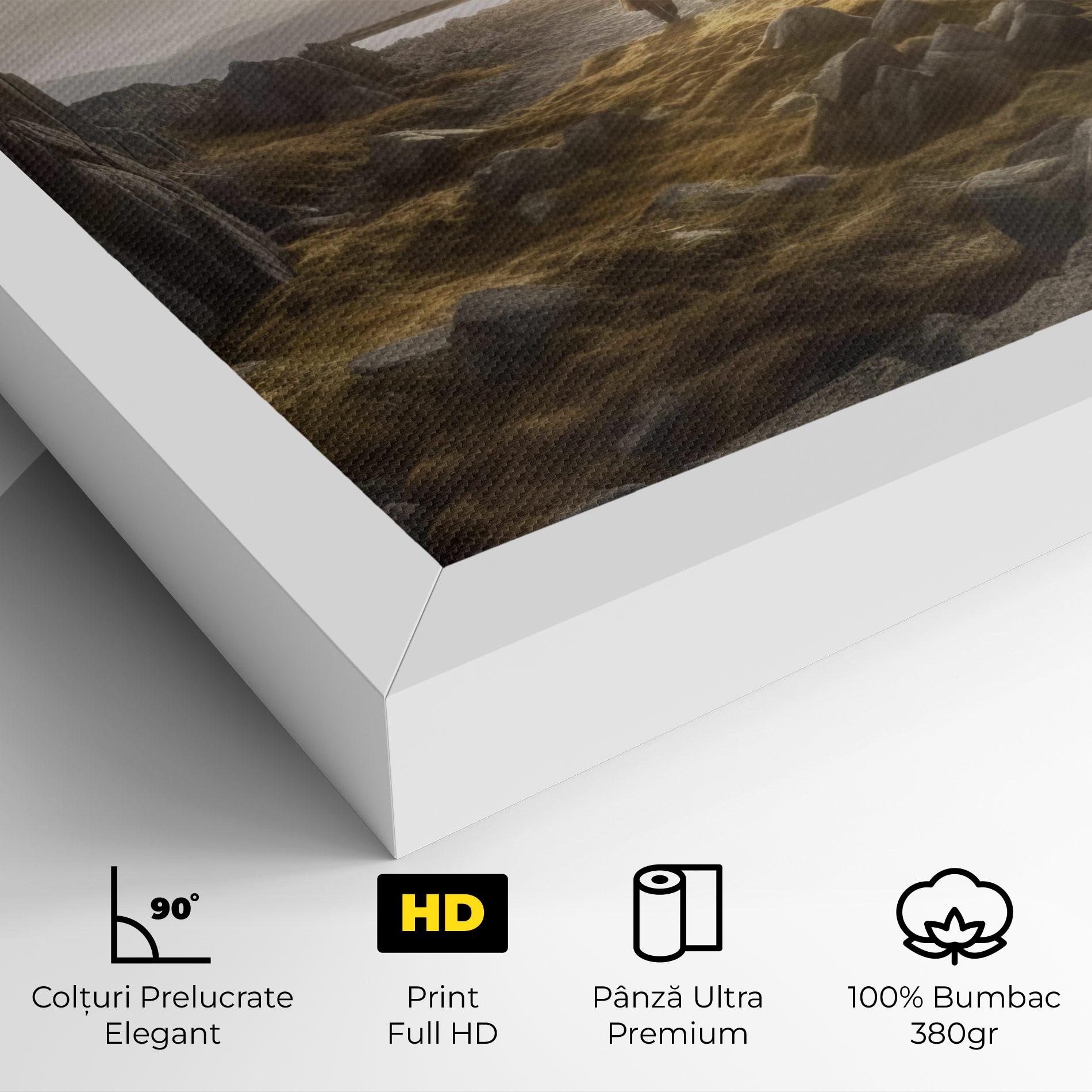 Tablou Canvas Rocky Area Man mockup 4