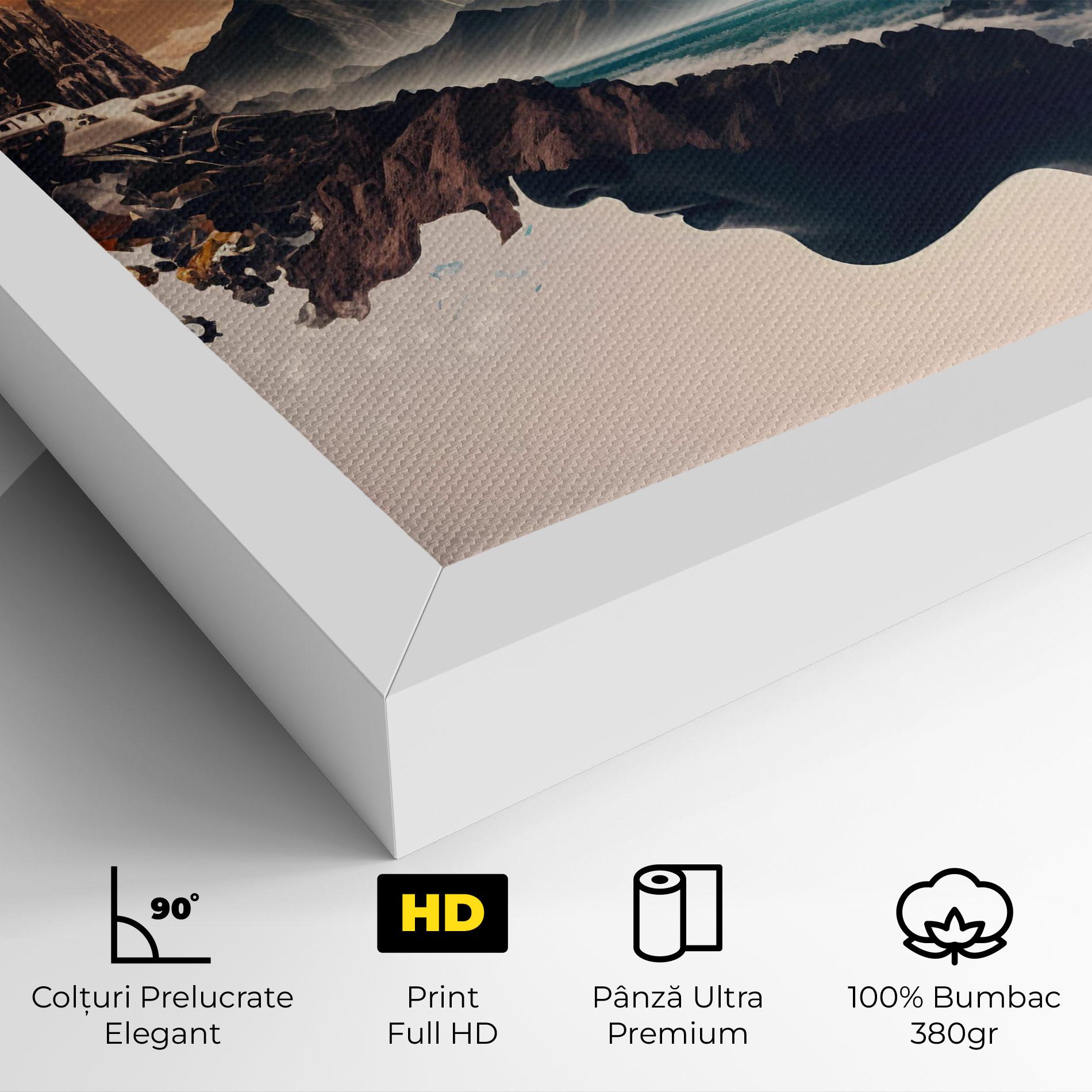 Tablou Canvas Terra Tech mockup 4