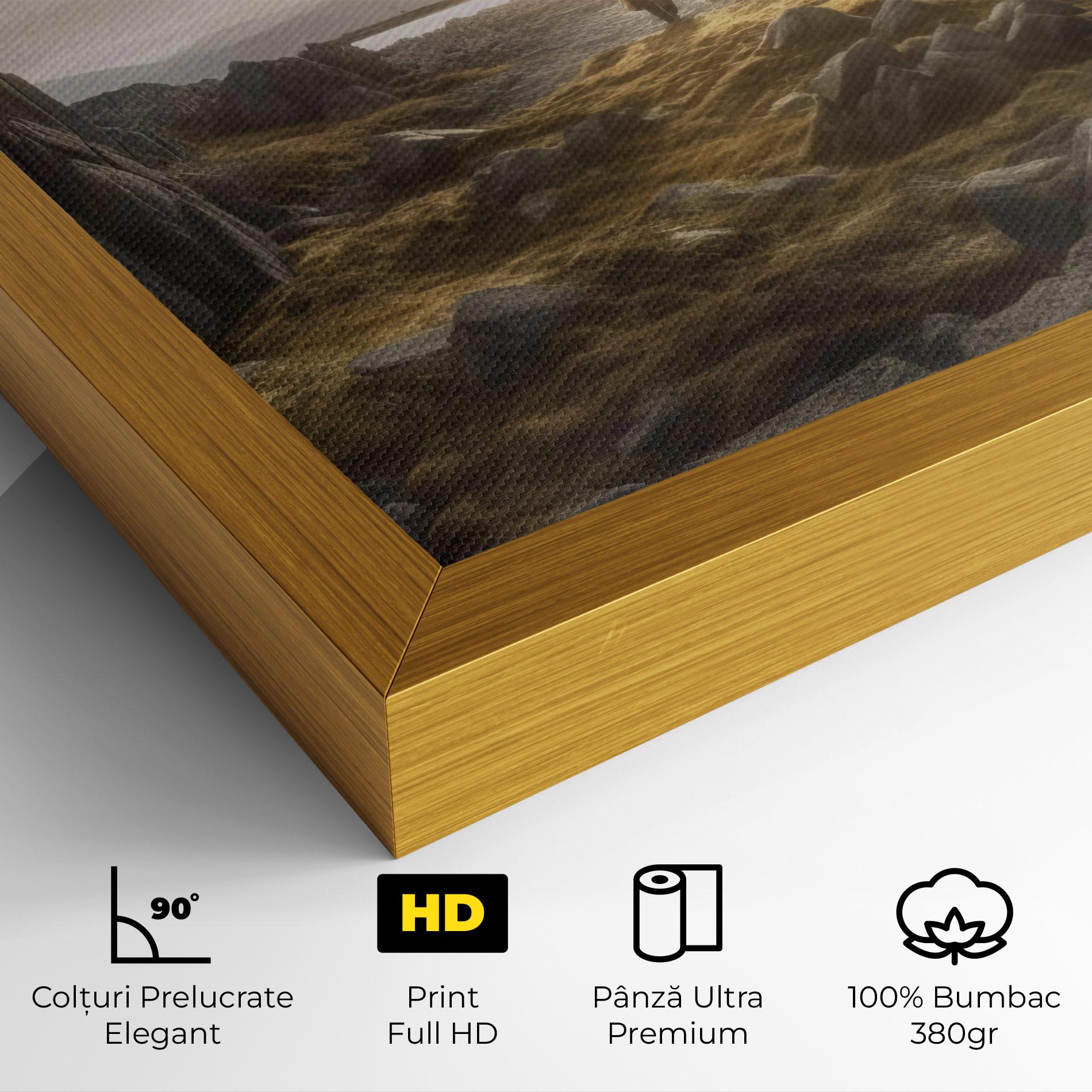 Tablou Canvas Rocky Area Man mockup 4