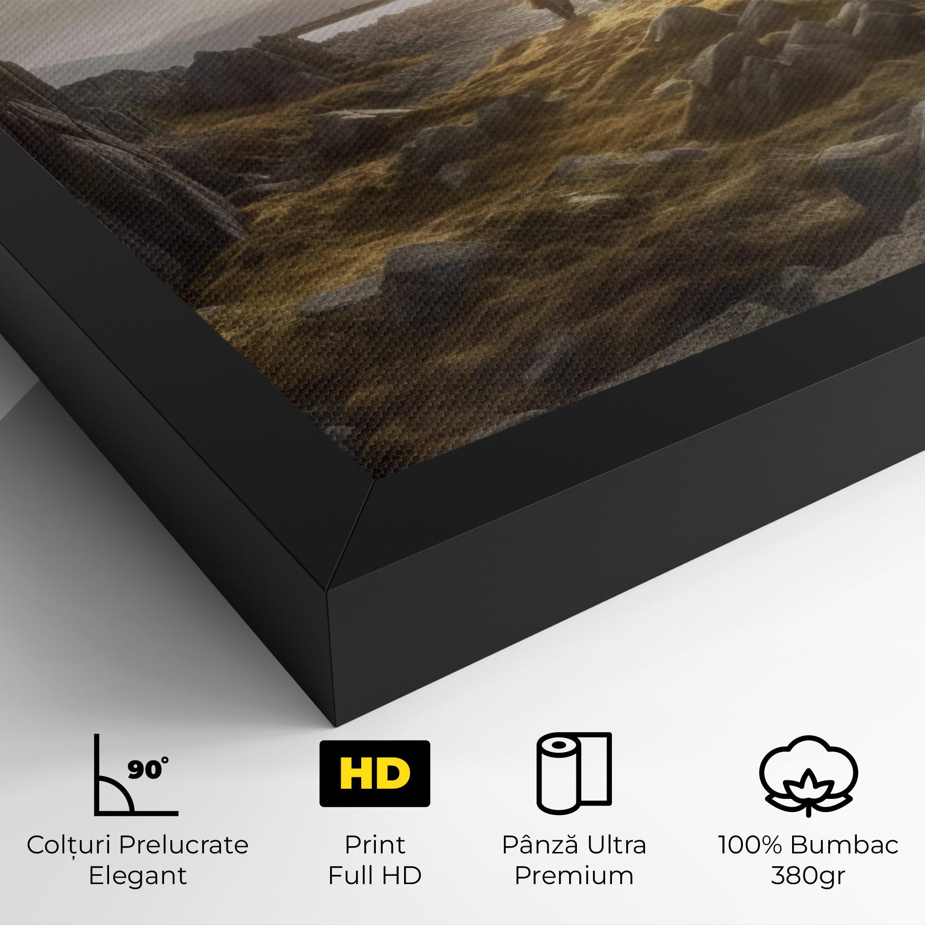 Tablou Canvas Rocky Area Man mockup 4