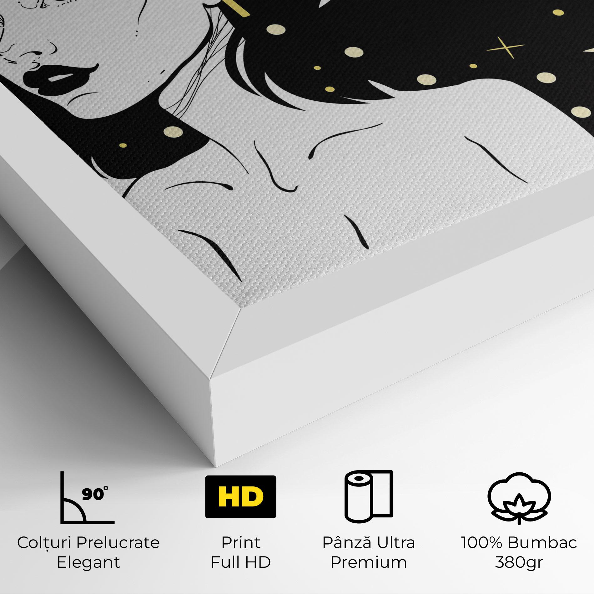 Tablou Canvas Night Witch mockup 4
