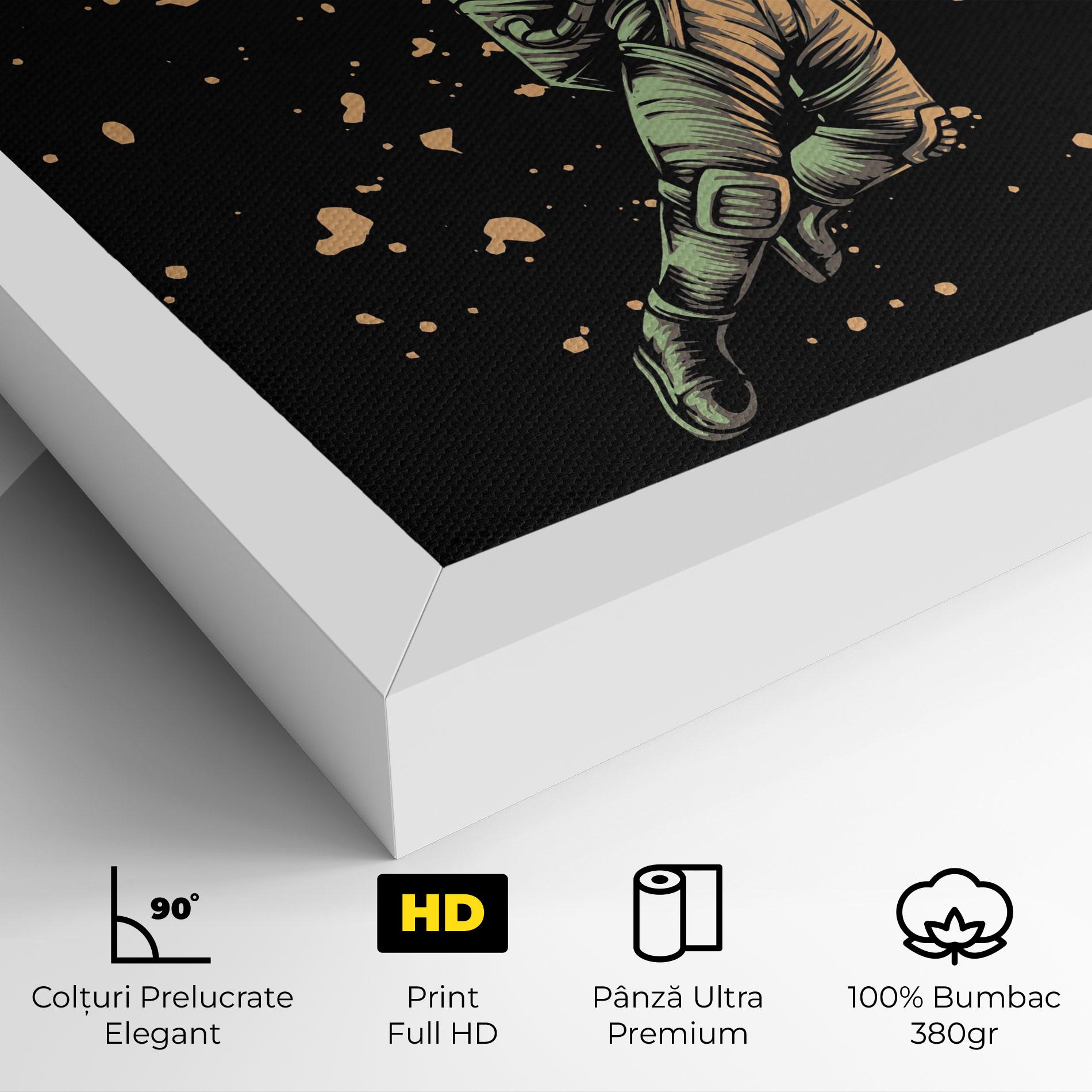 Tablou Canvas Astrobasket mockup 4