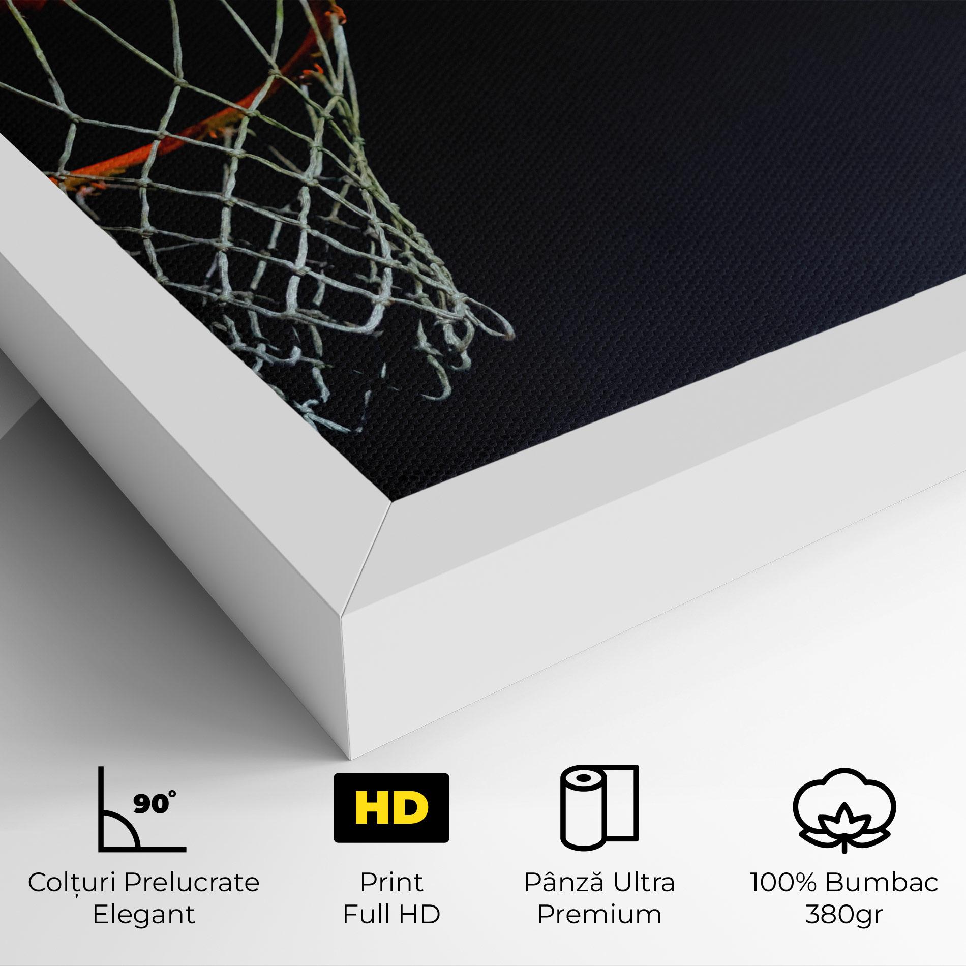 Tablou Canvas Basketball Hoop On Black mockup 4