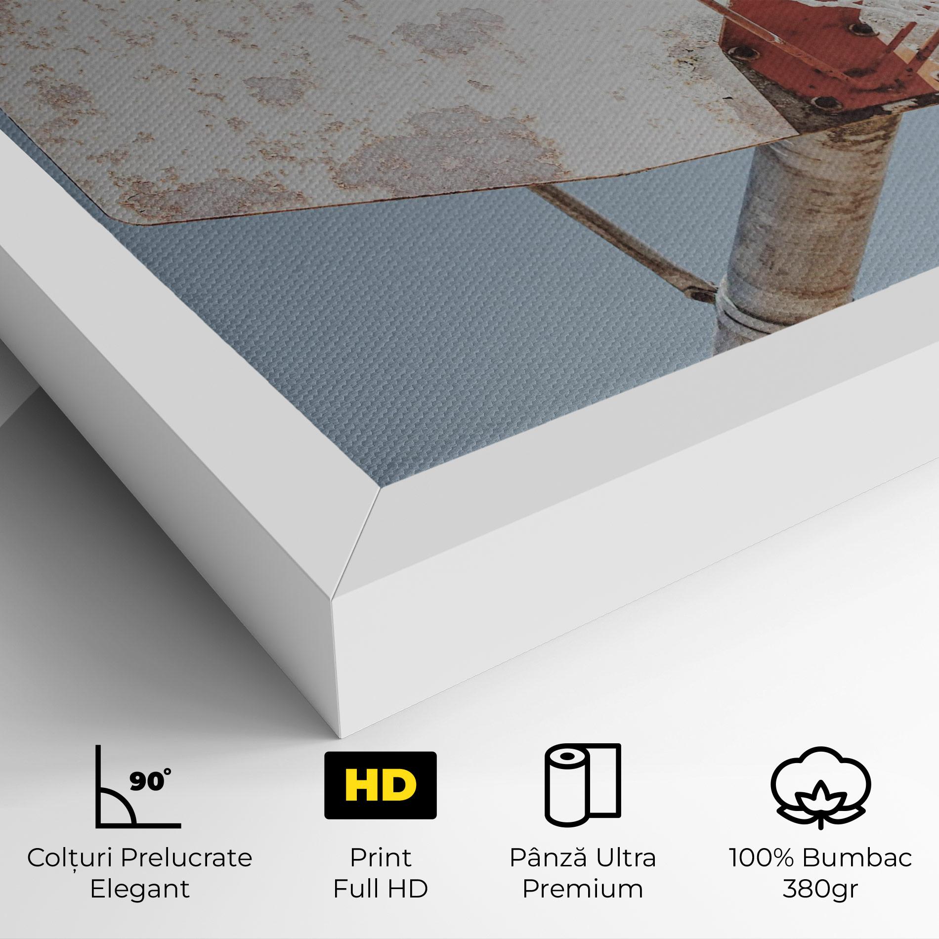 Tablou Canvas Old Basketball Hoop mockup 4