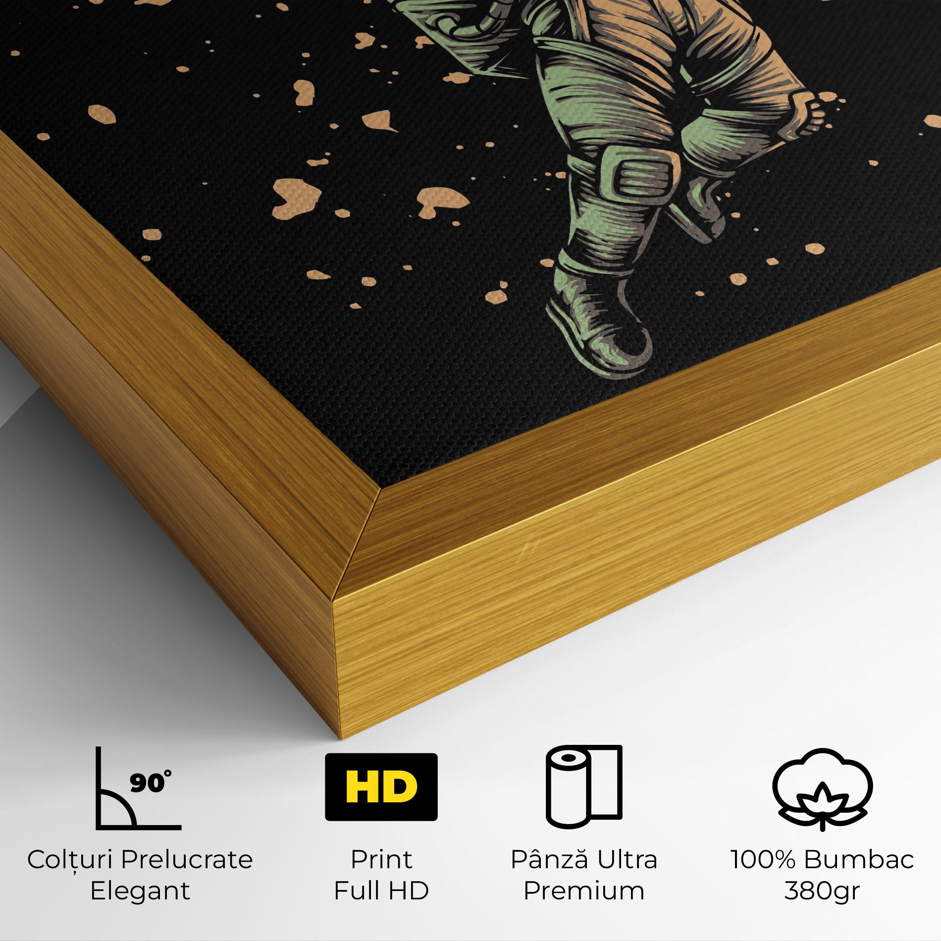 Tablou Canvas Astrobasket mockup 4