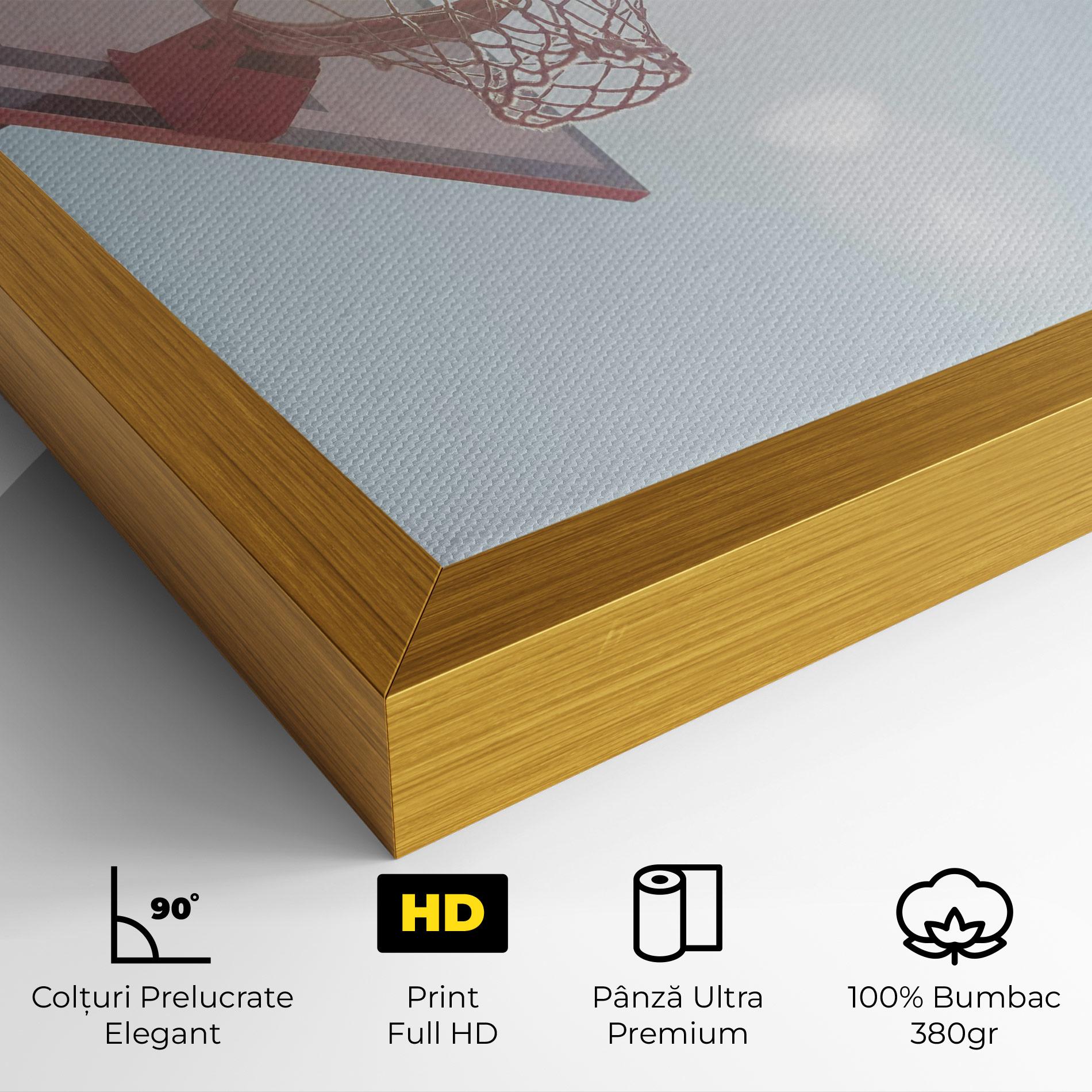 Tablou Canvas Basketball Hoop mockup 4