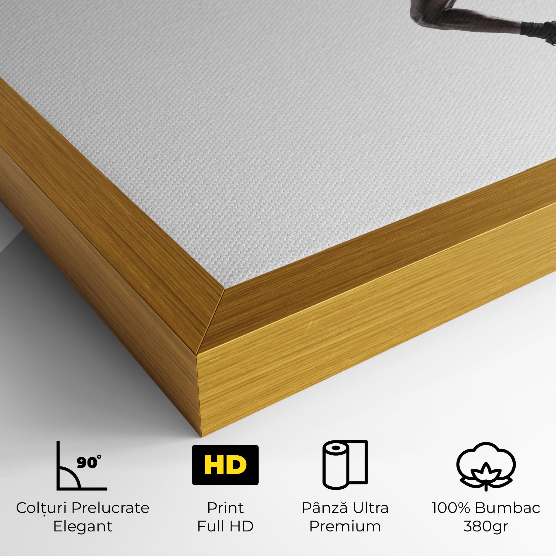 Tablou Canvas Basketball Player Flying mockup 4