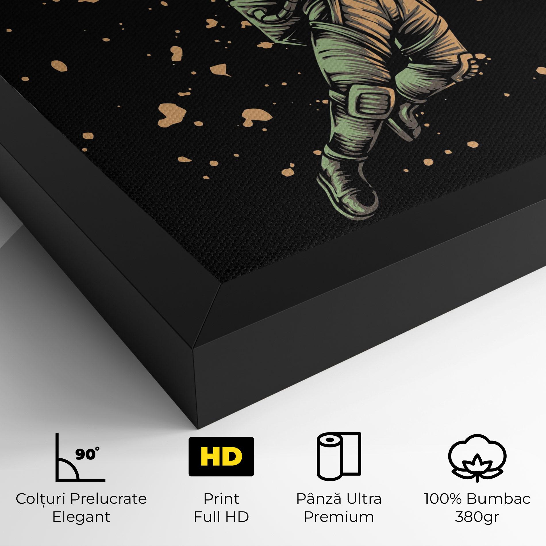 Tablou Canvas Astrobasket mockup 4