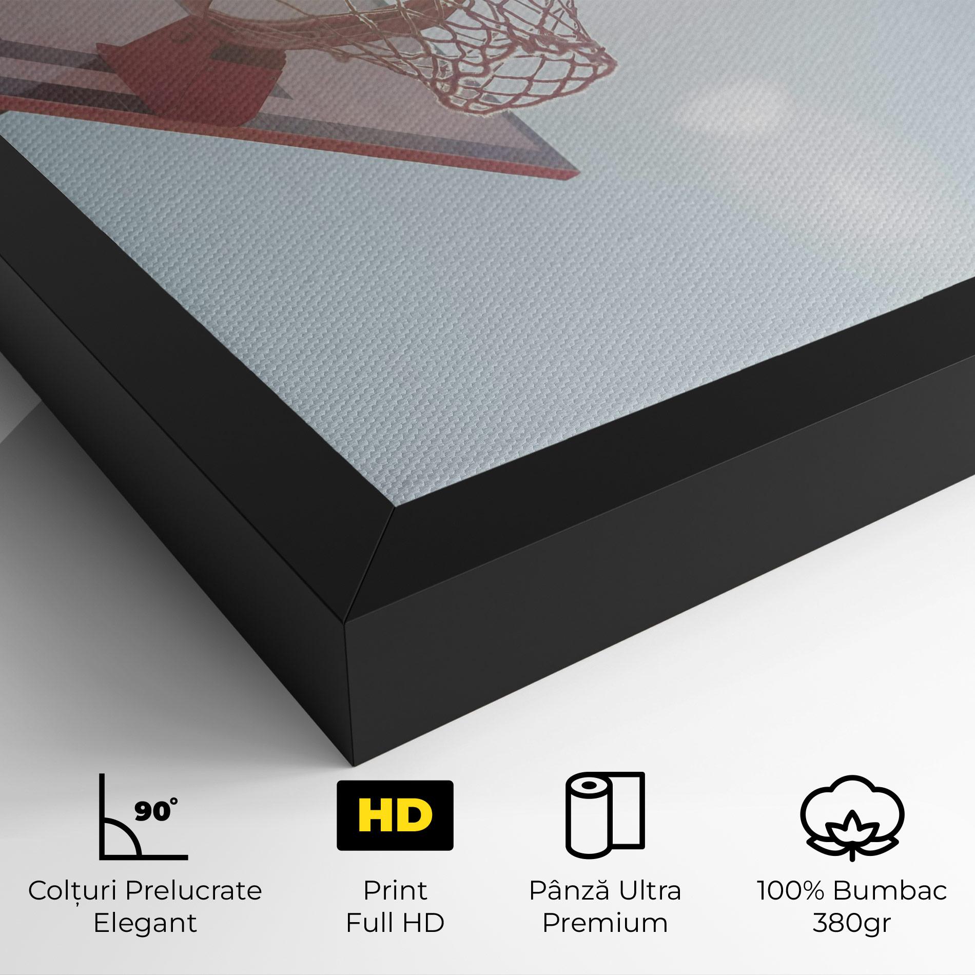 Tablou Canvas Basketball Hoop mockup 4