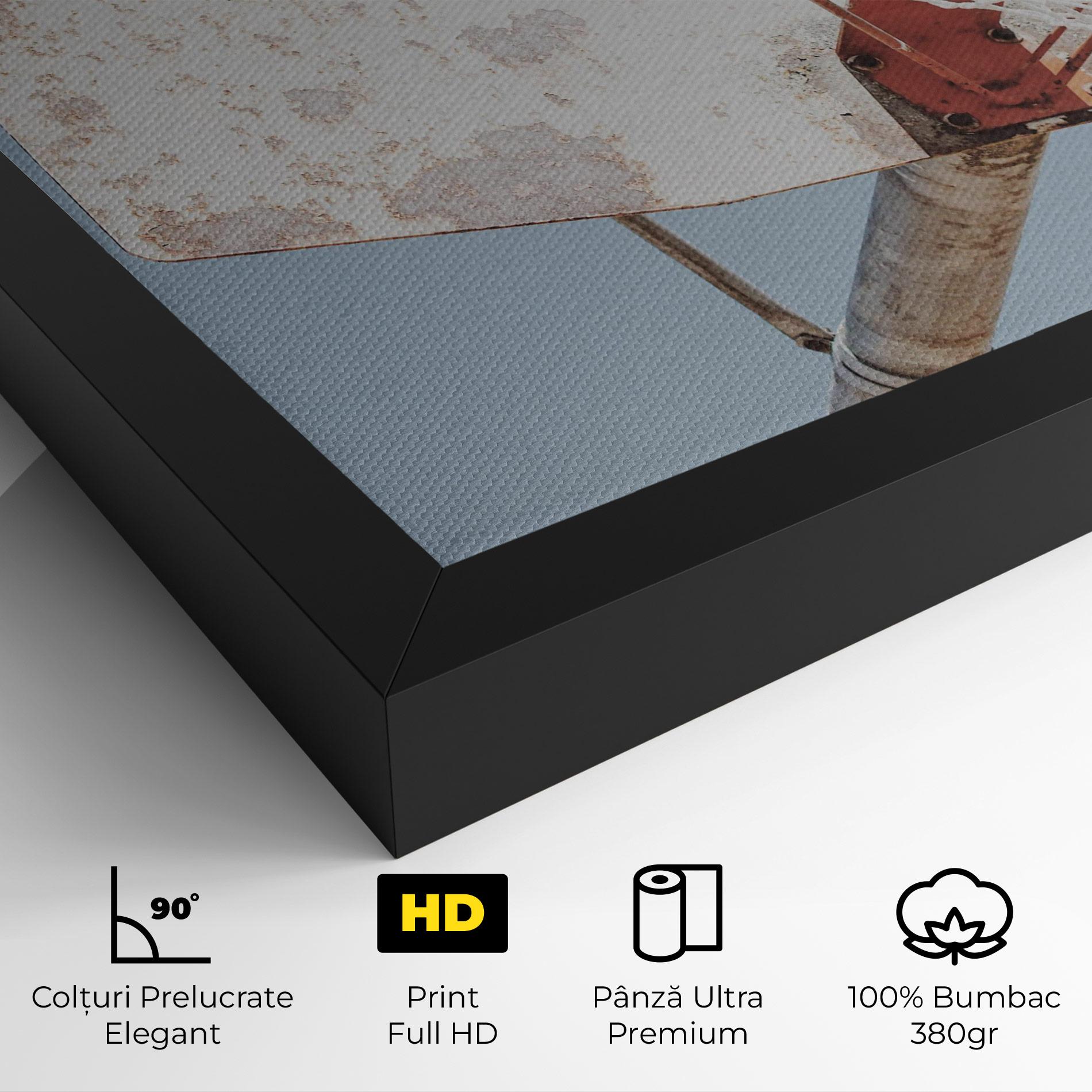 Tablou Canvas Old Basketball Hoop mockup 4