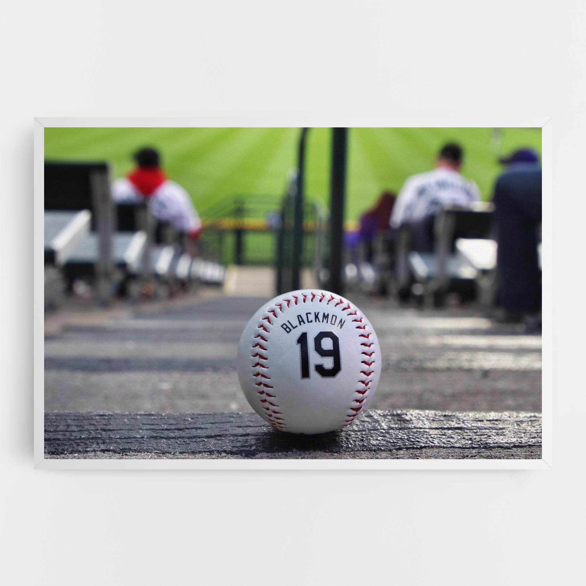 Tablou Canvas Baseball Nr 19 mockup 0