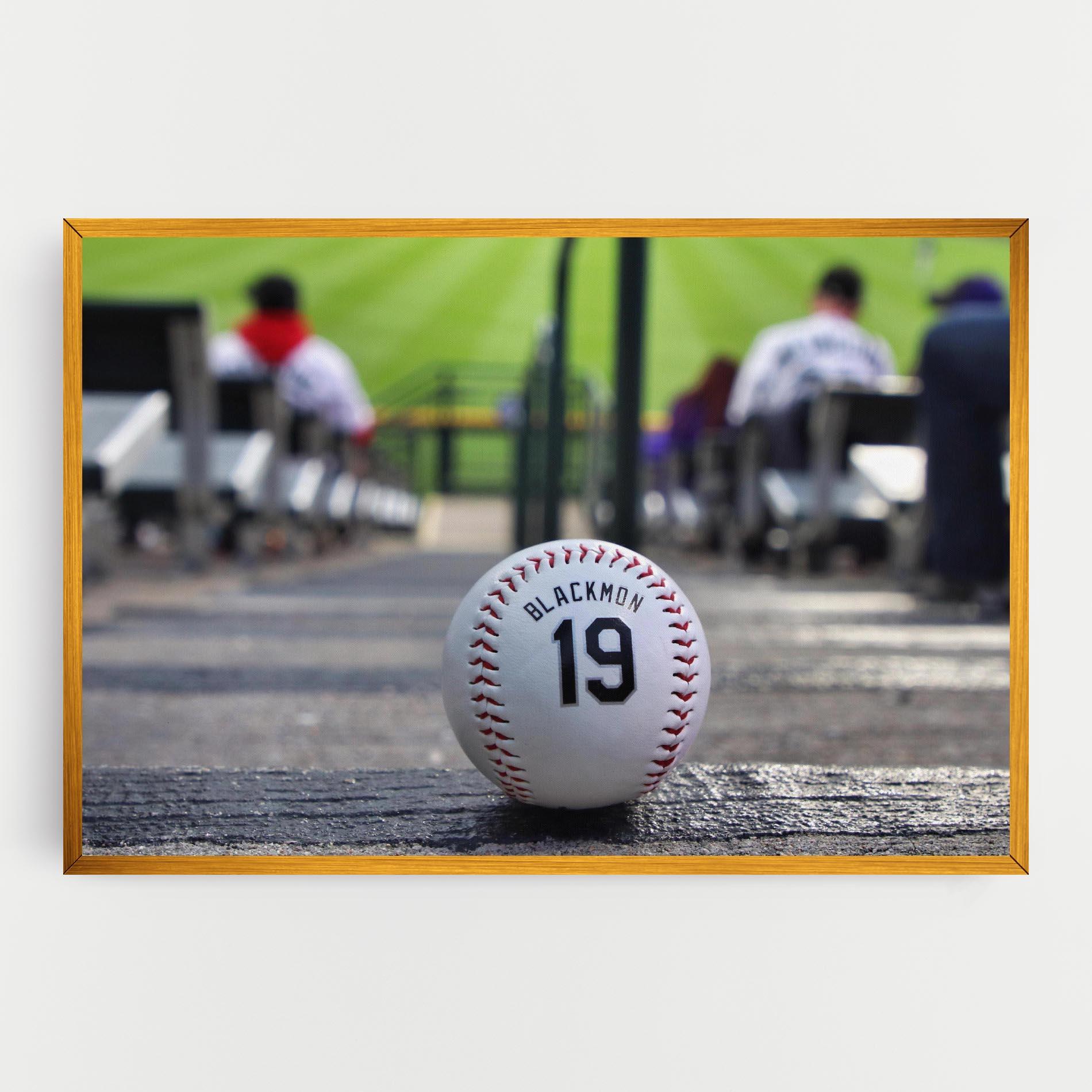 Tablou Canvas Baseball Nr 19 mockup 0
