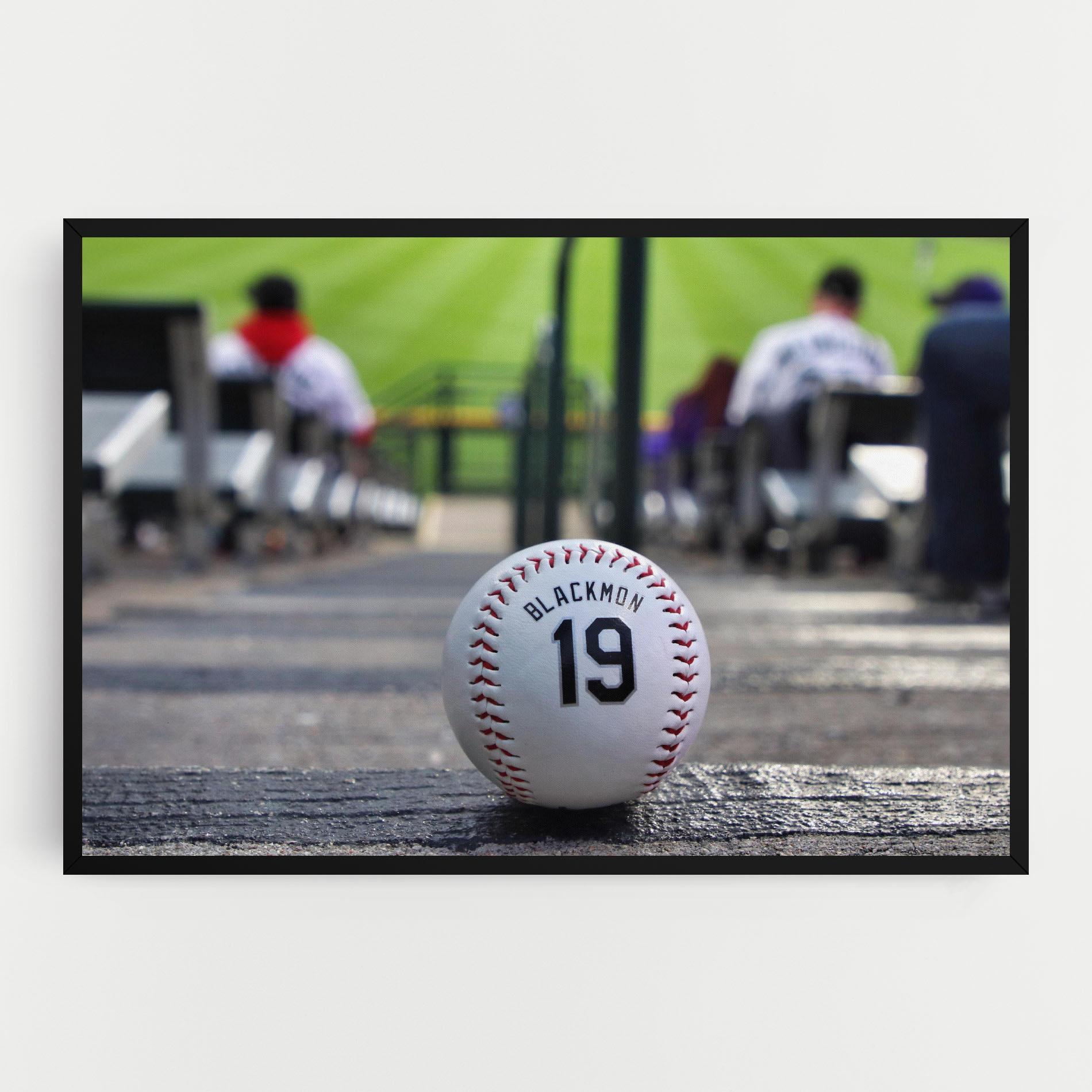 Tablou Canvas Baseball Nr 19 mockup 0