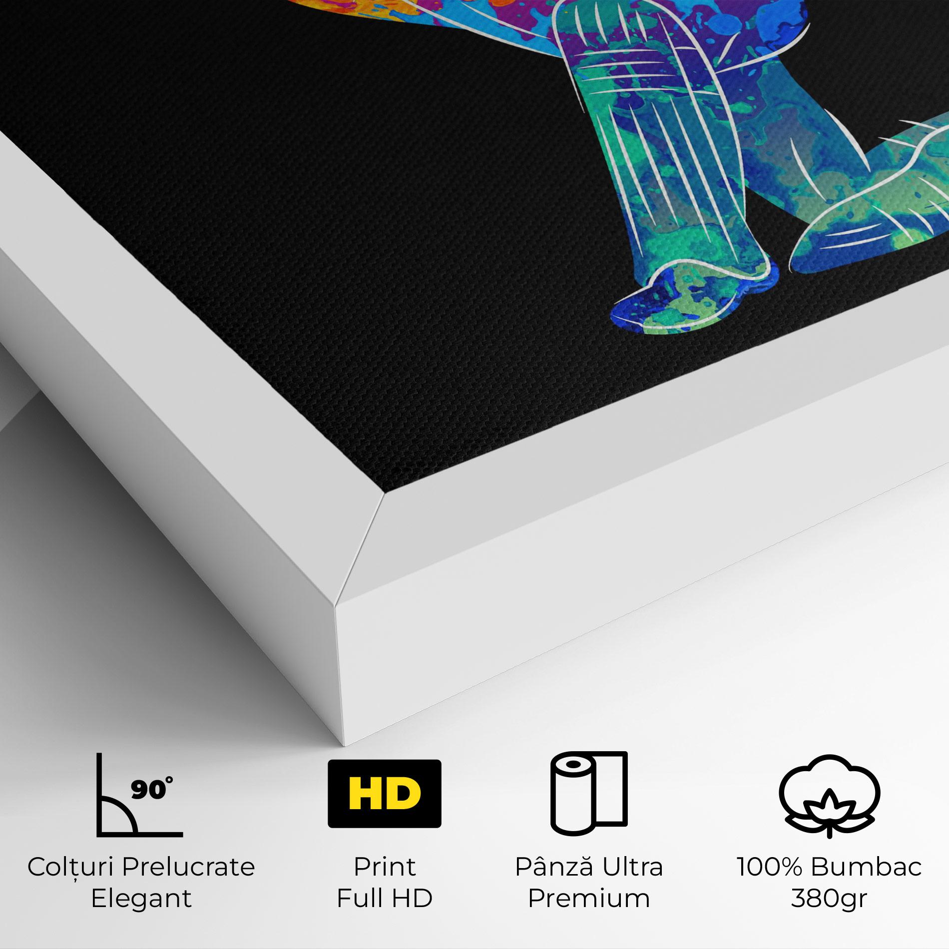 Tablou Canvas Baseball Color Art mockup 4