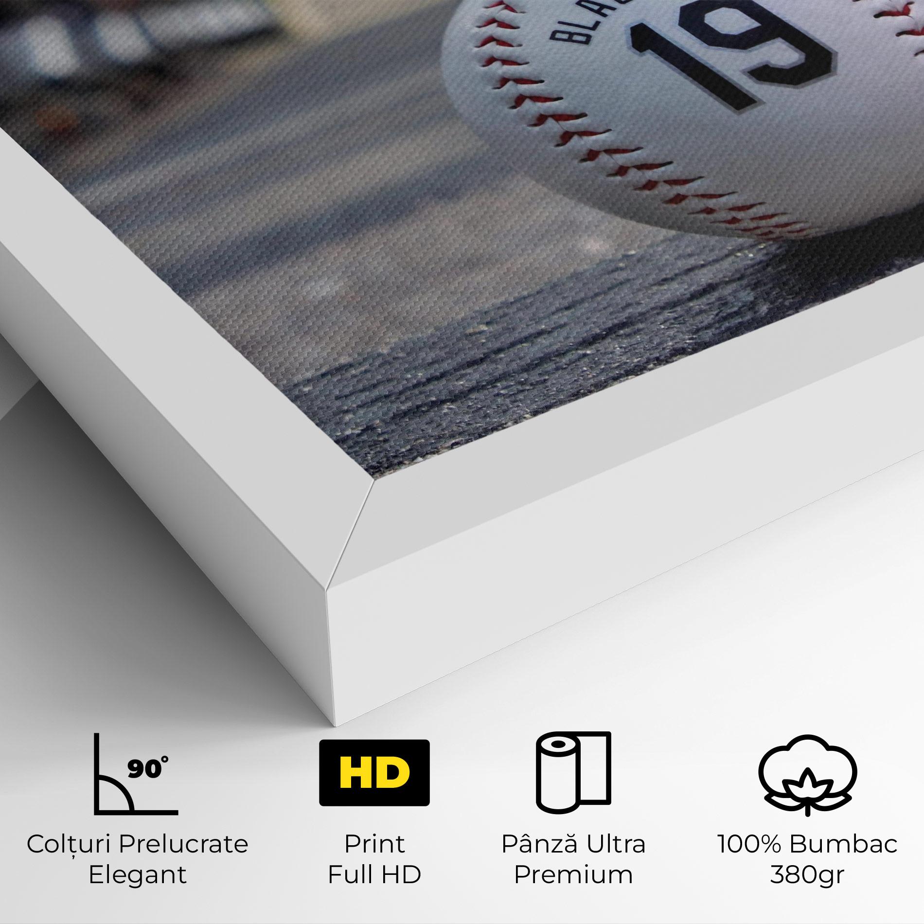 Tablou Canvas Baseball Nr 19 mockup 4