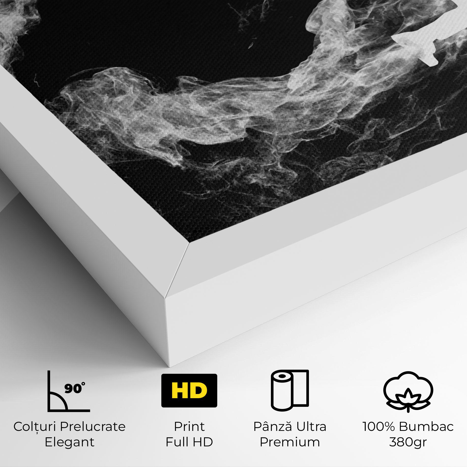 Tablou Canvas Baseball Smoke mockup 4