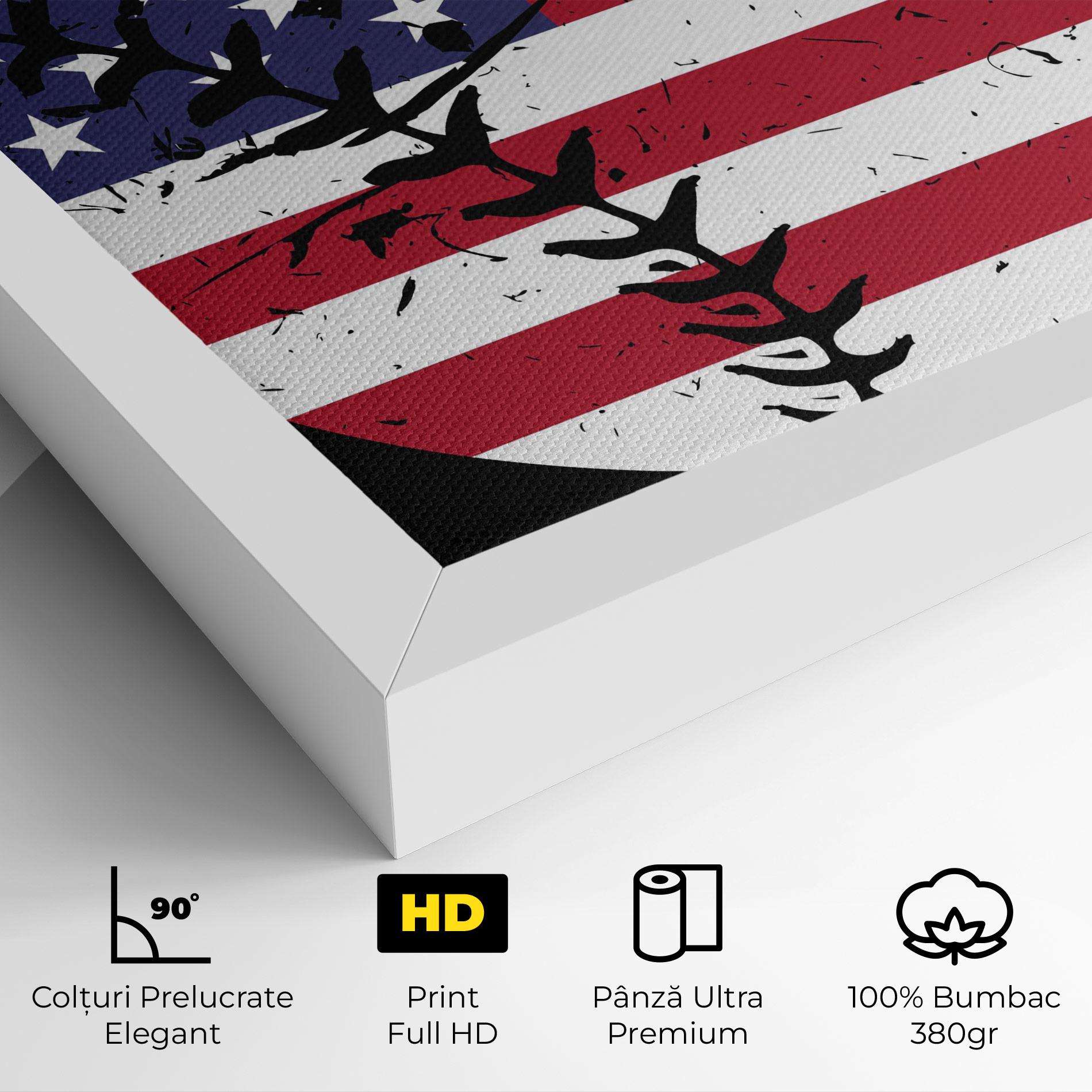 Tablou Canvas Baseball Usa mockup 4