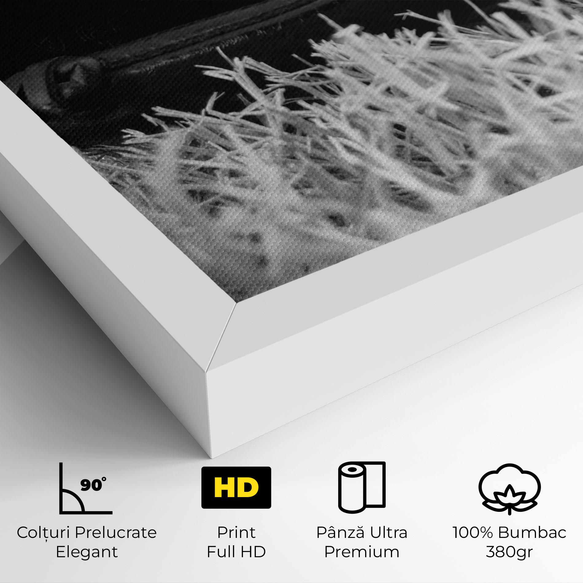 Tablou Canvas Black Baseball Glove mockup 4