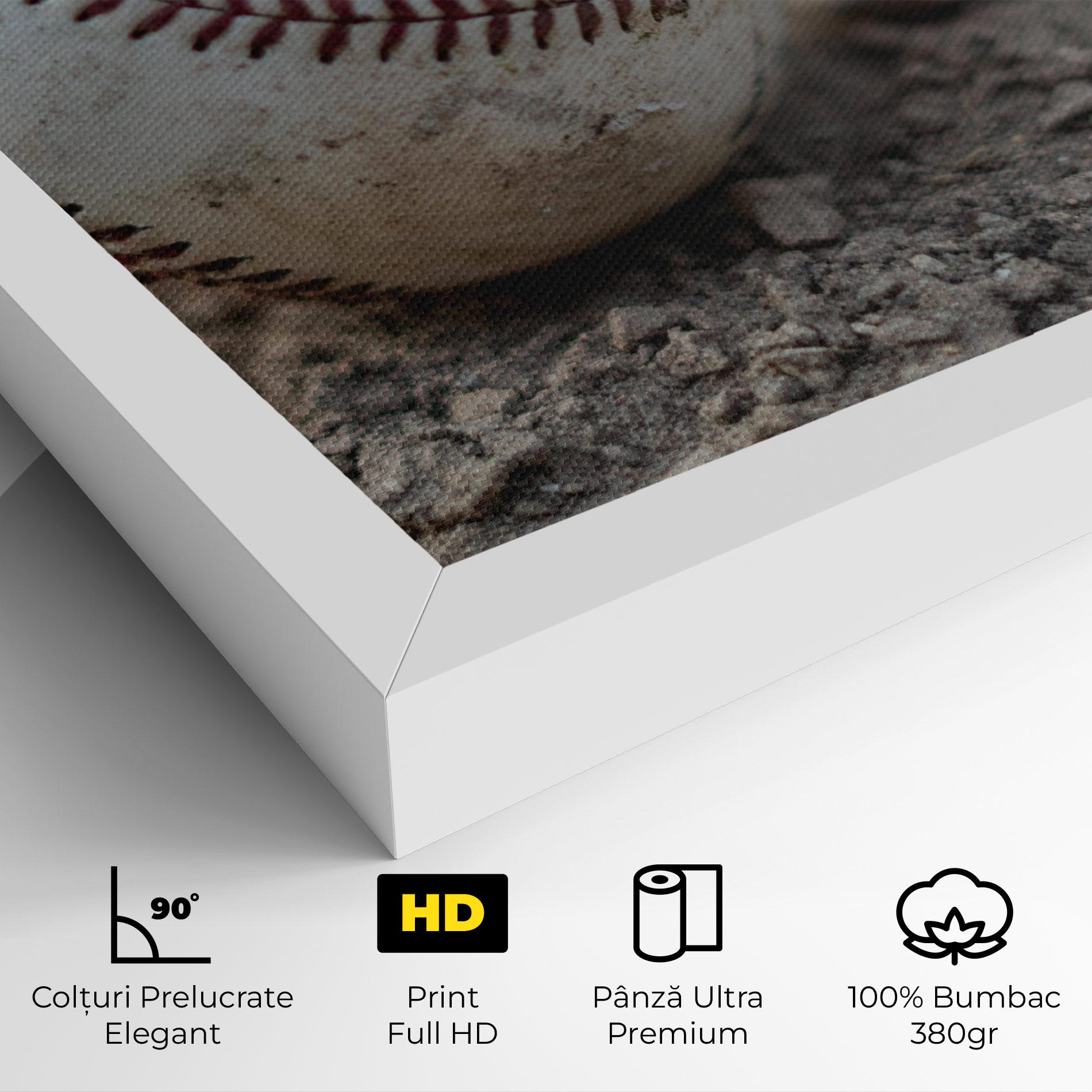 Tablou Canvas Dusty Baseball Ball mockup 4