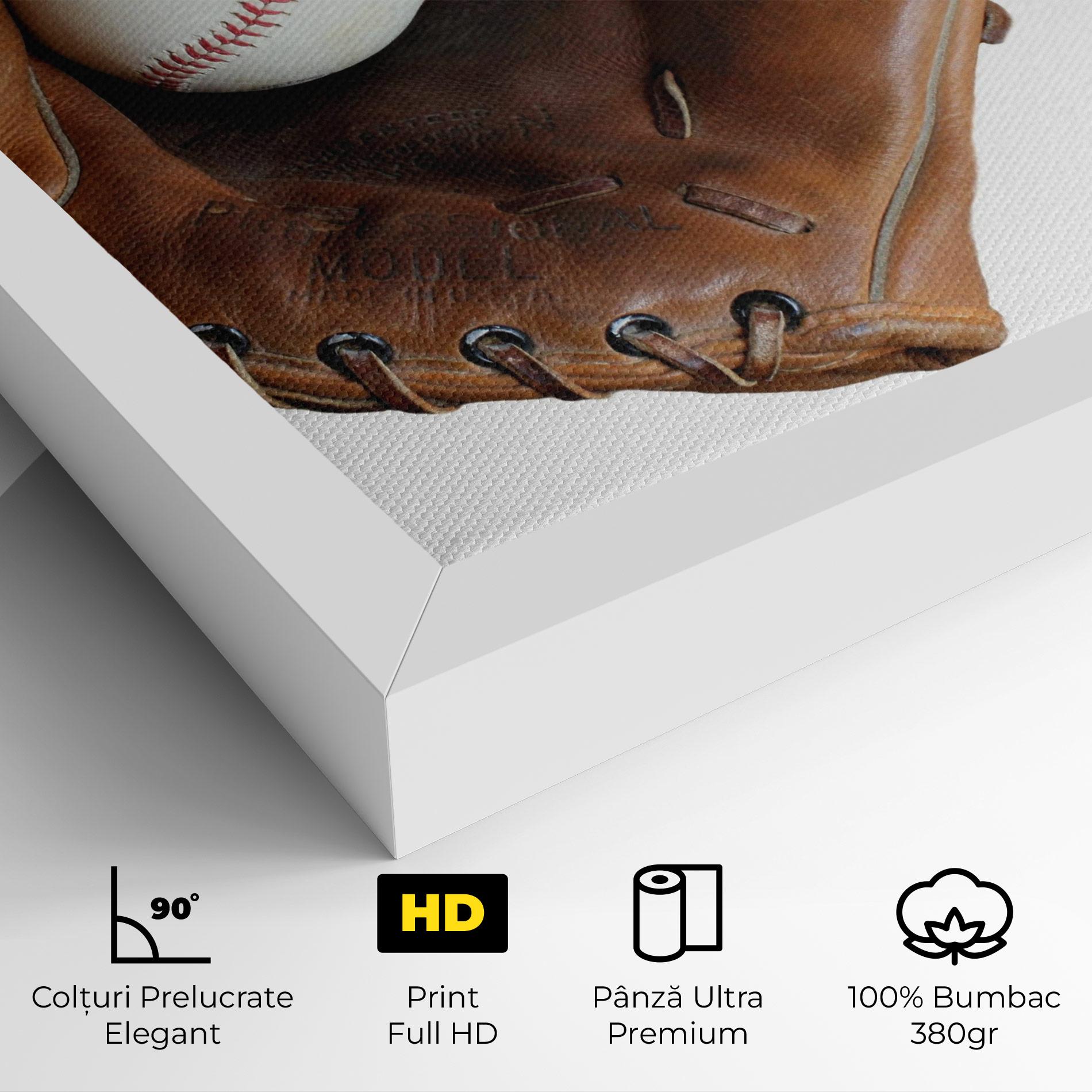 Tablou Canvas Holding Baseball Ball mockup 4