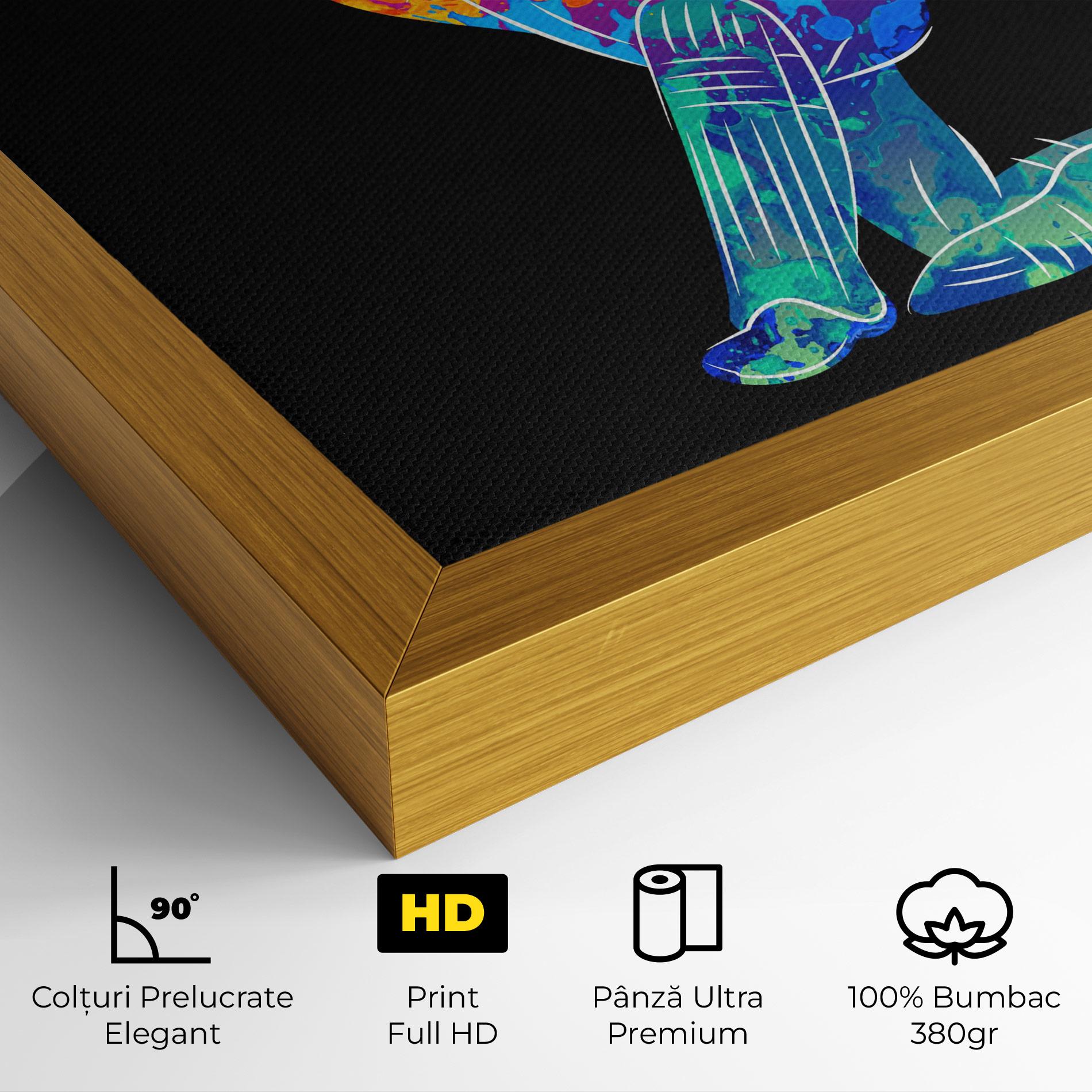 Tablou Canvas Baseball Color Art mockup 4