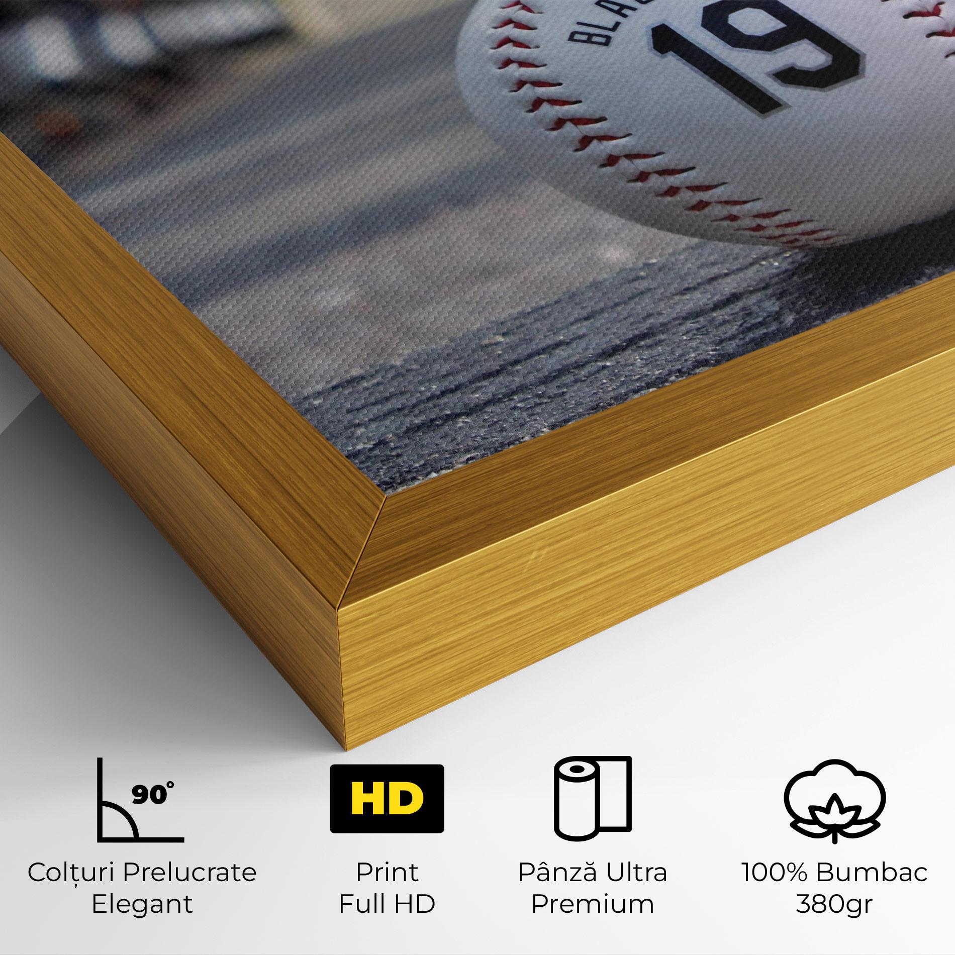 Tablou Canvas Baseball Nr 19 mockup 4