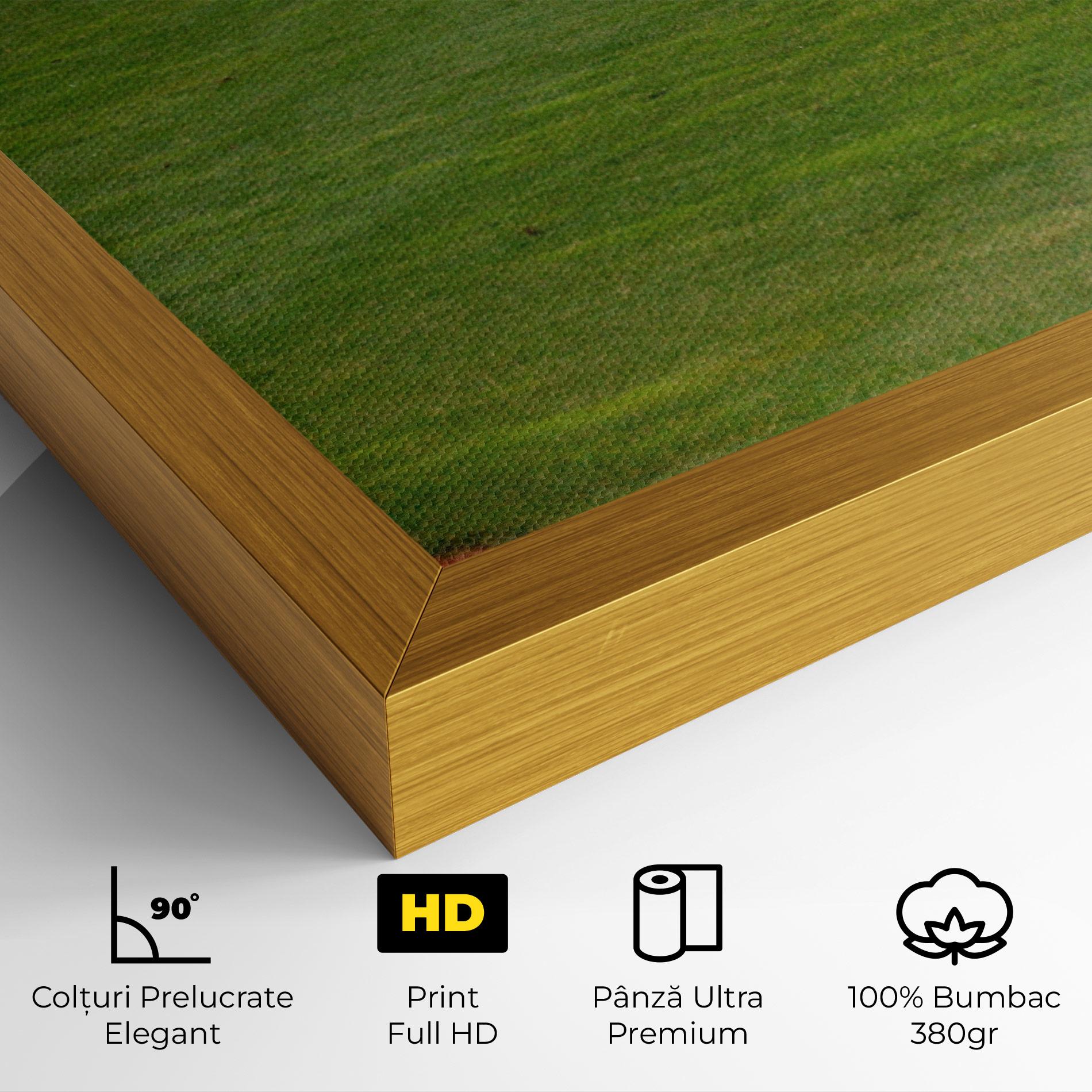 Tablou Canvas Baseball Player mockup 4