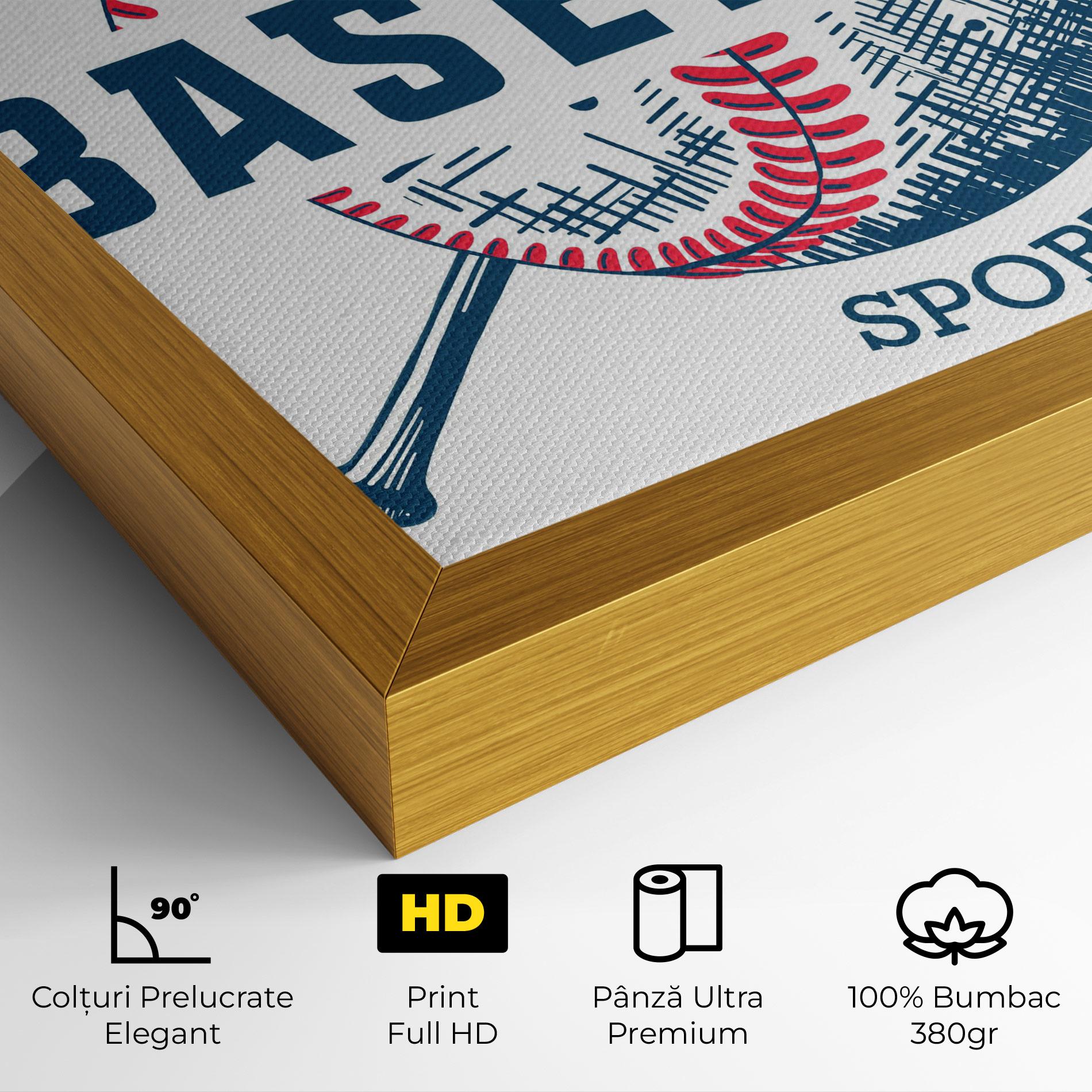 Tablou Canvas Baseball Sport mockup 4