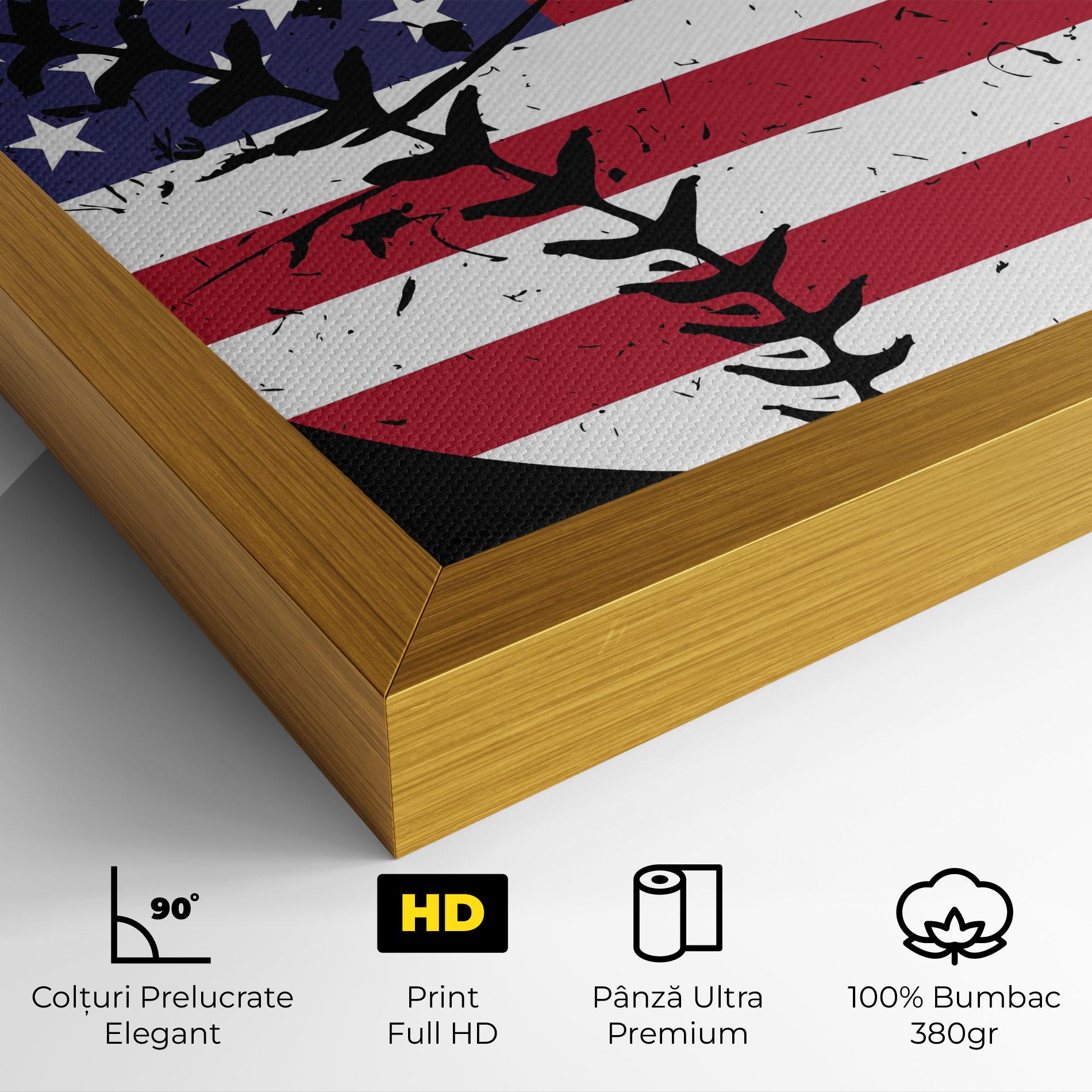Tablou Canvas Baseball Usa mockup 4