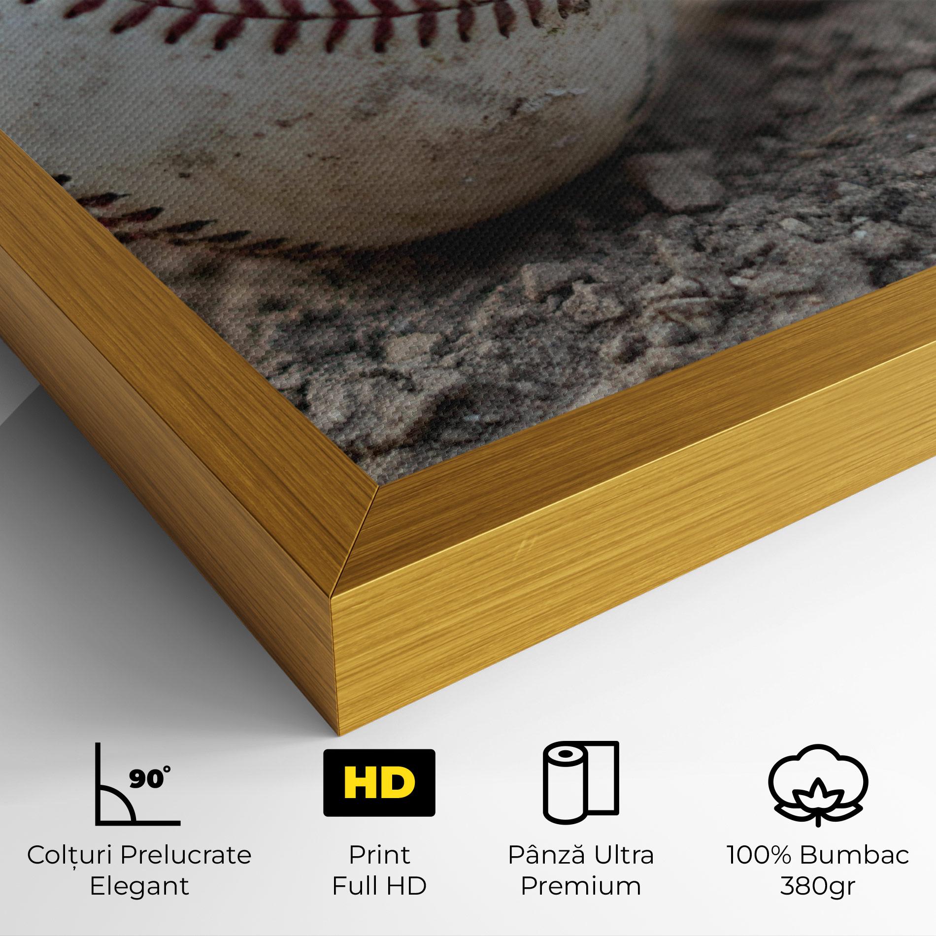 Tablou Canvas Dusty Baseball Ball mockup 4