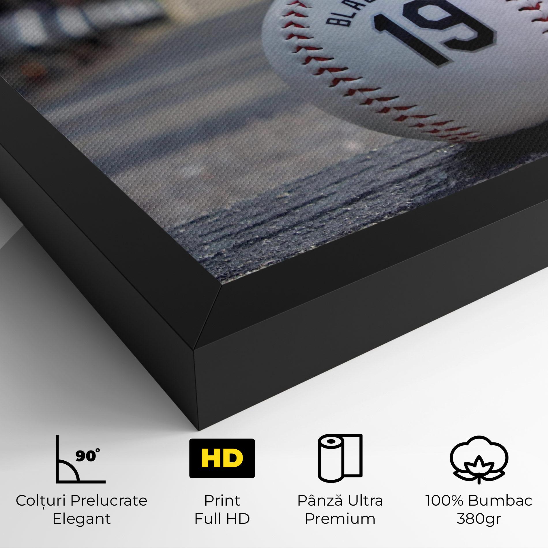 Tablou Canvas Baseball Nr 19 mockup 4