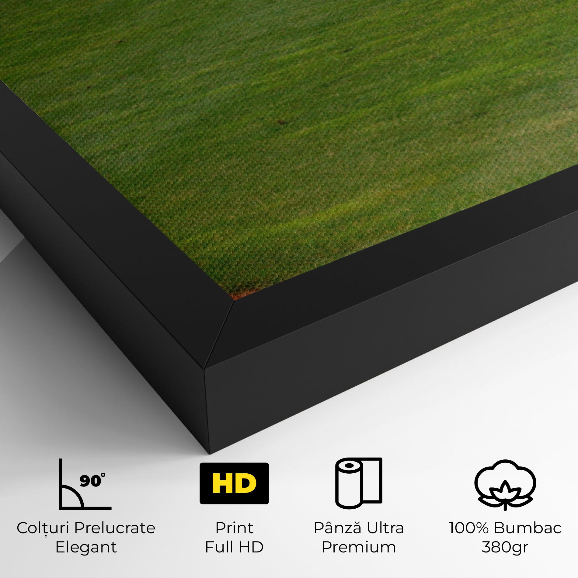 Tablou Canvas Baseball Player mockup 4