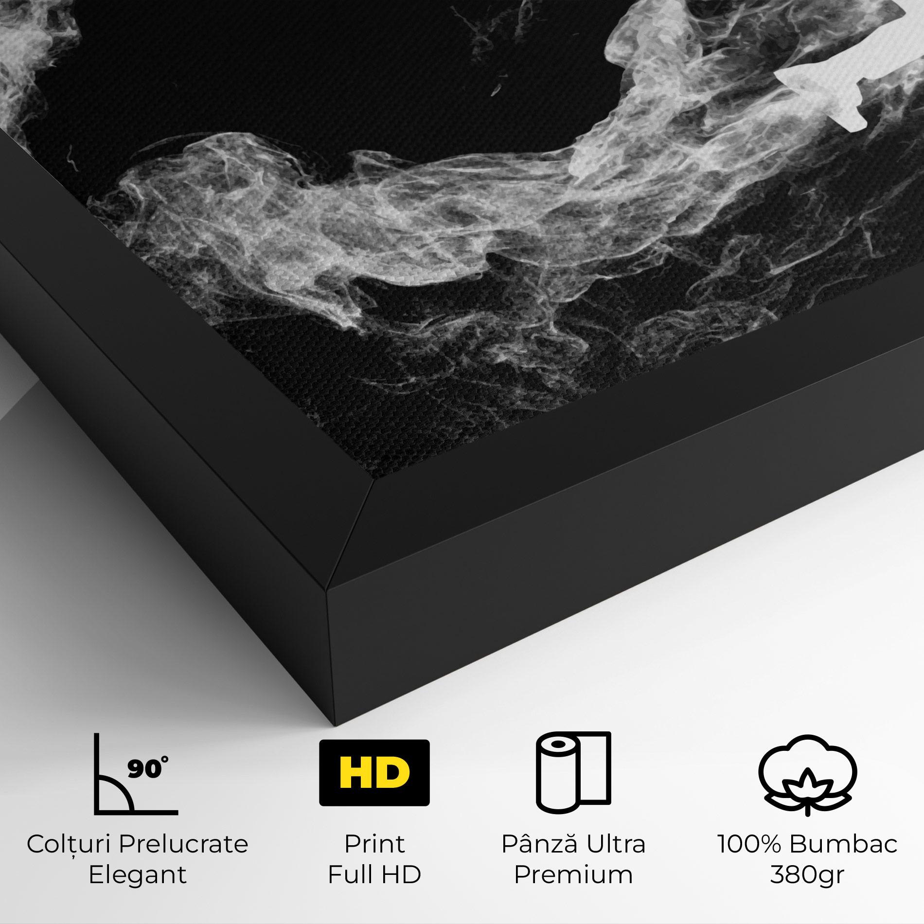 Tablou Canvas Baseball Smoke mockup 4