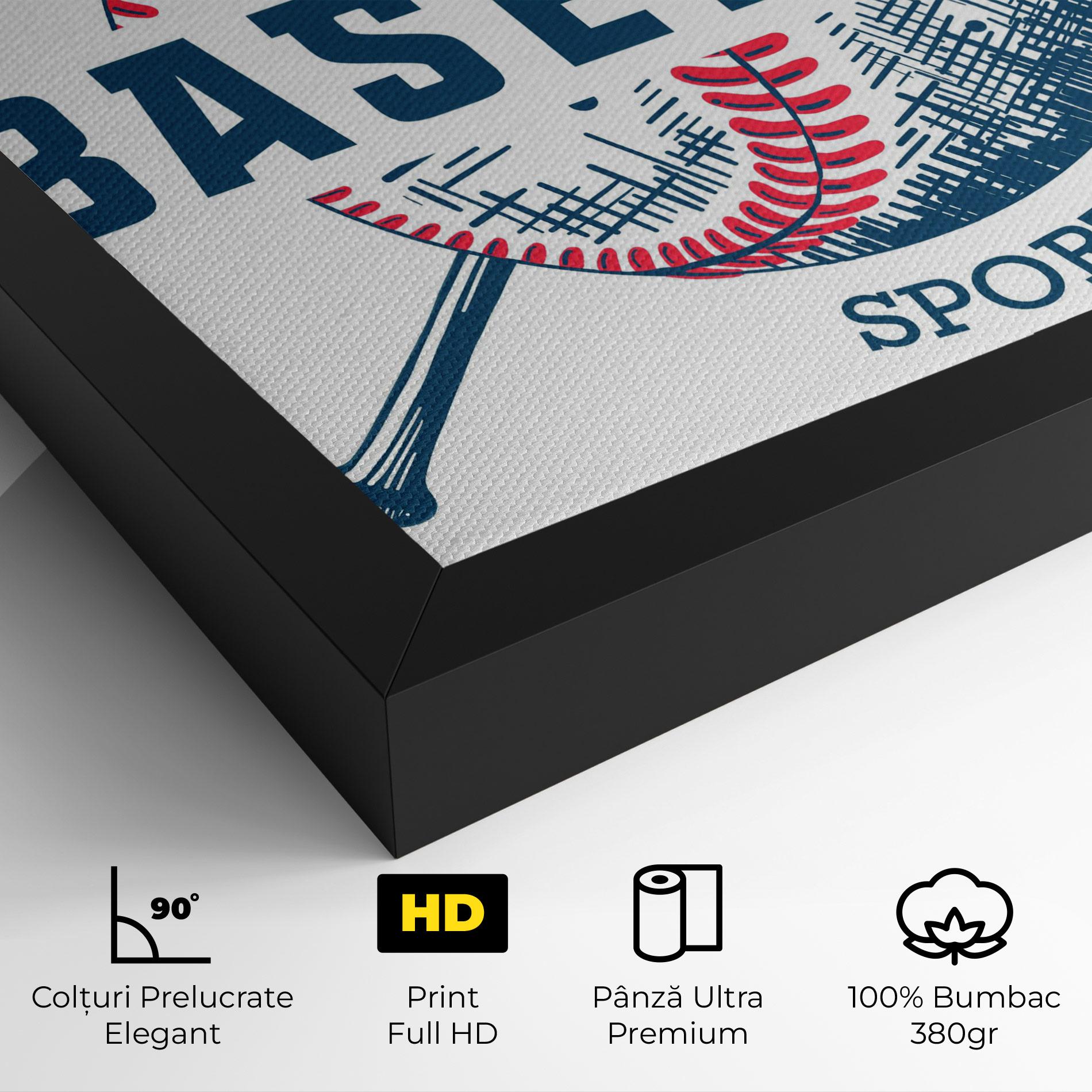 Tablou Canvas Baseball Sport mockup 4